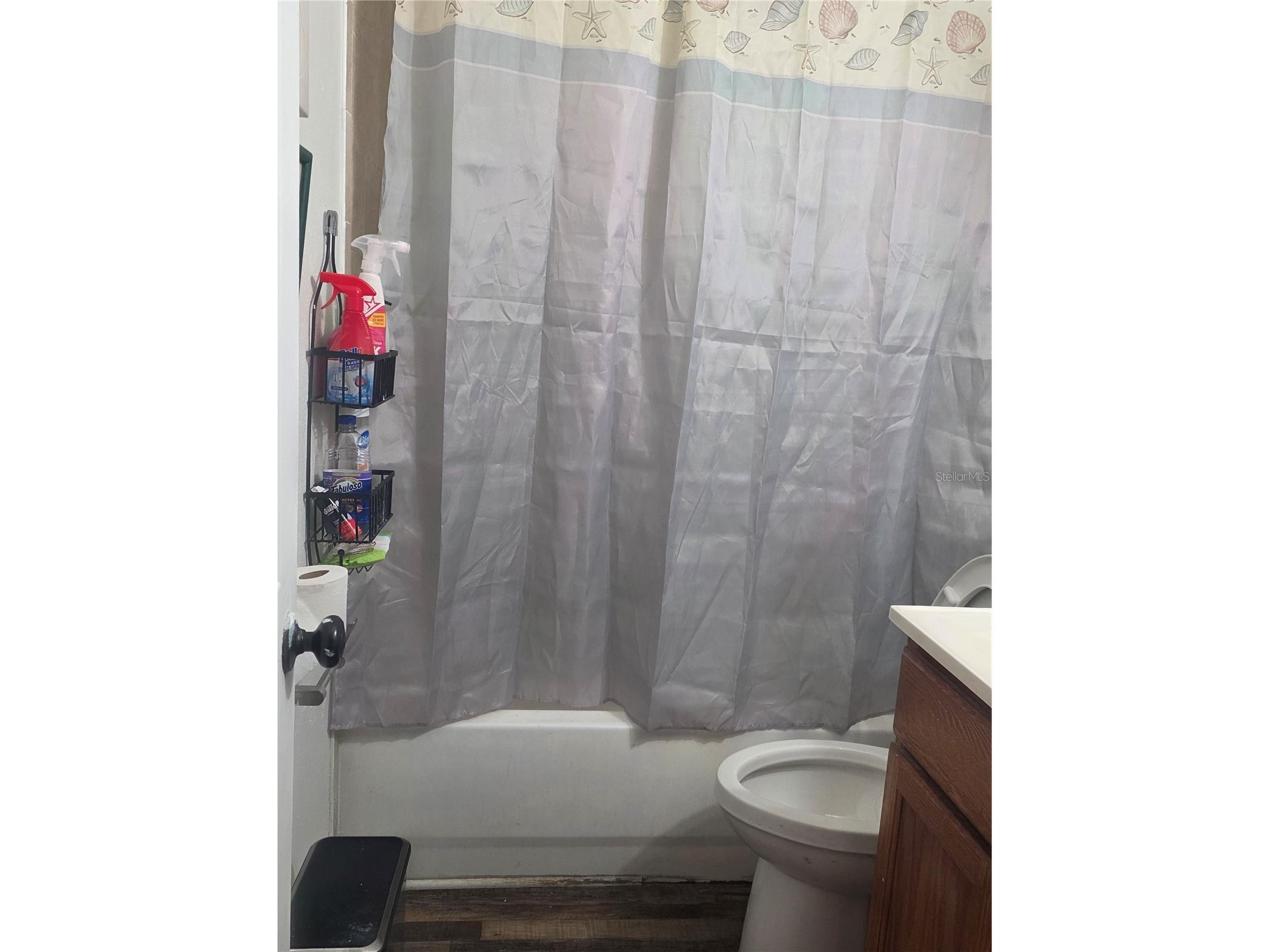 1005 Kimball Drive Ocoee FL 34761 O6410673 image7