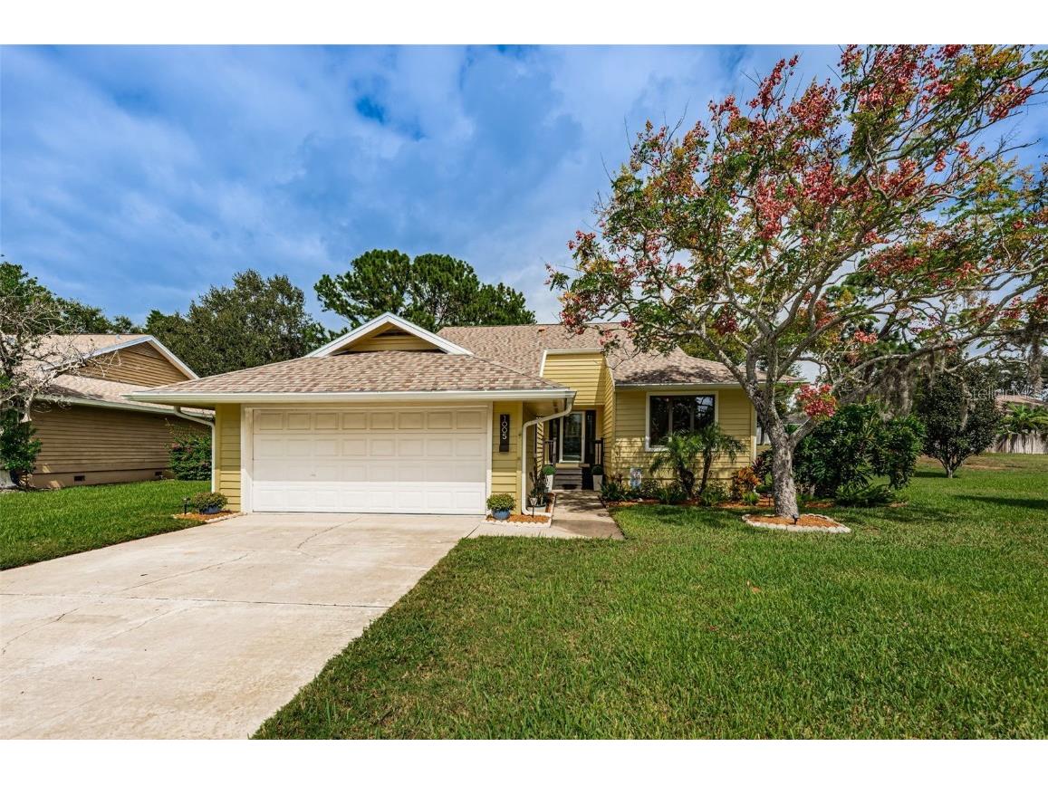 1005 Lake Avoca Place Tarpon Springs FL 34689 U8217720 image1