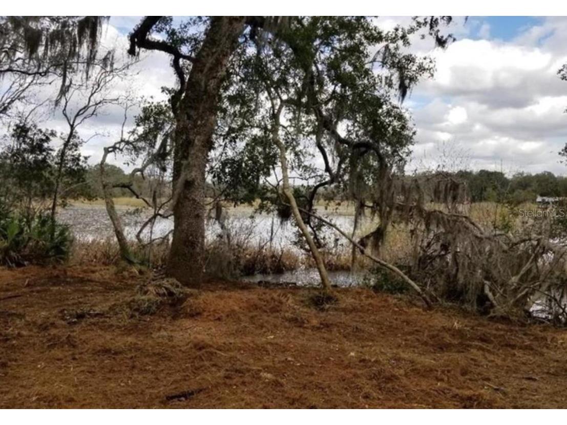 1005 N Pennybacker Road Inverness FL 34453 OM698833 image1