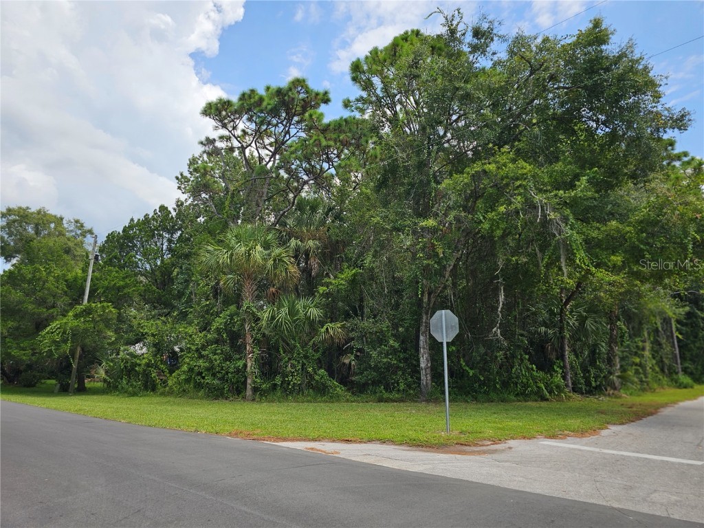 1005 NE 7th Avenue Crystal River FL 34428 O6135682 image1