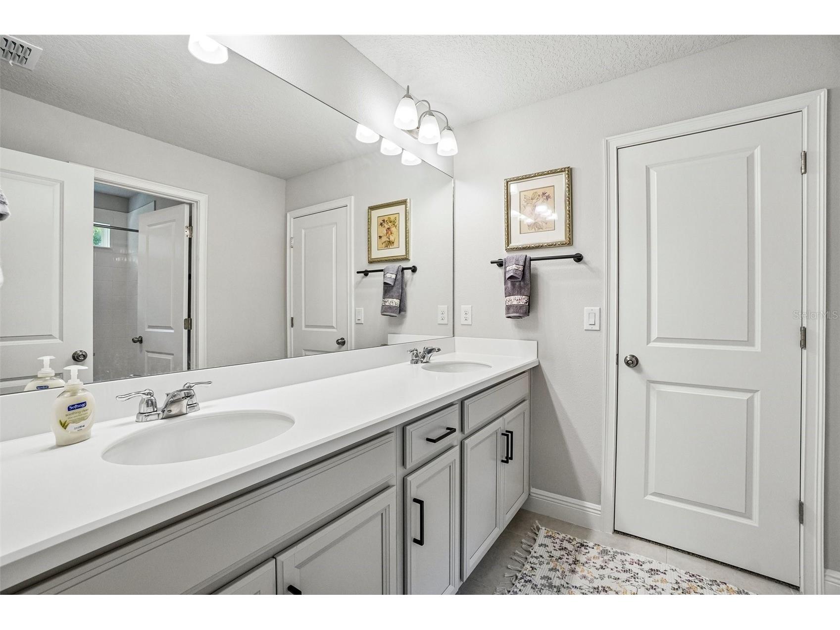 1005 Night Song Street Valrico FL 33594 TB8508413 image27