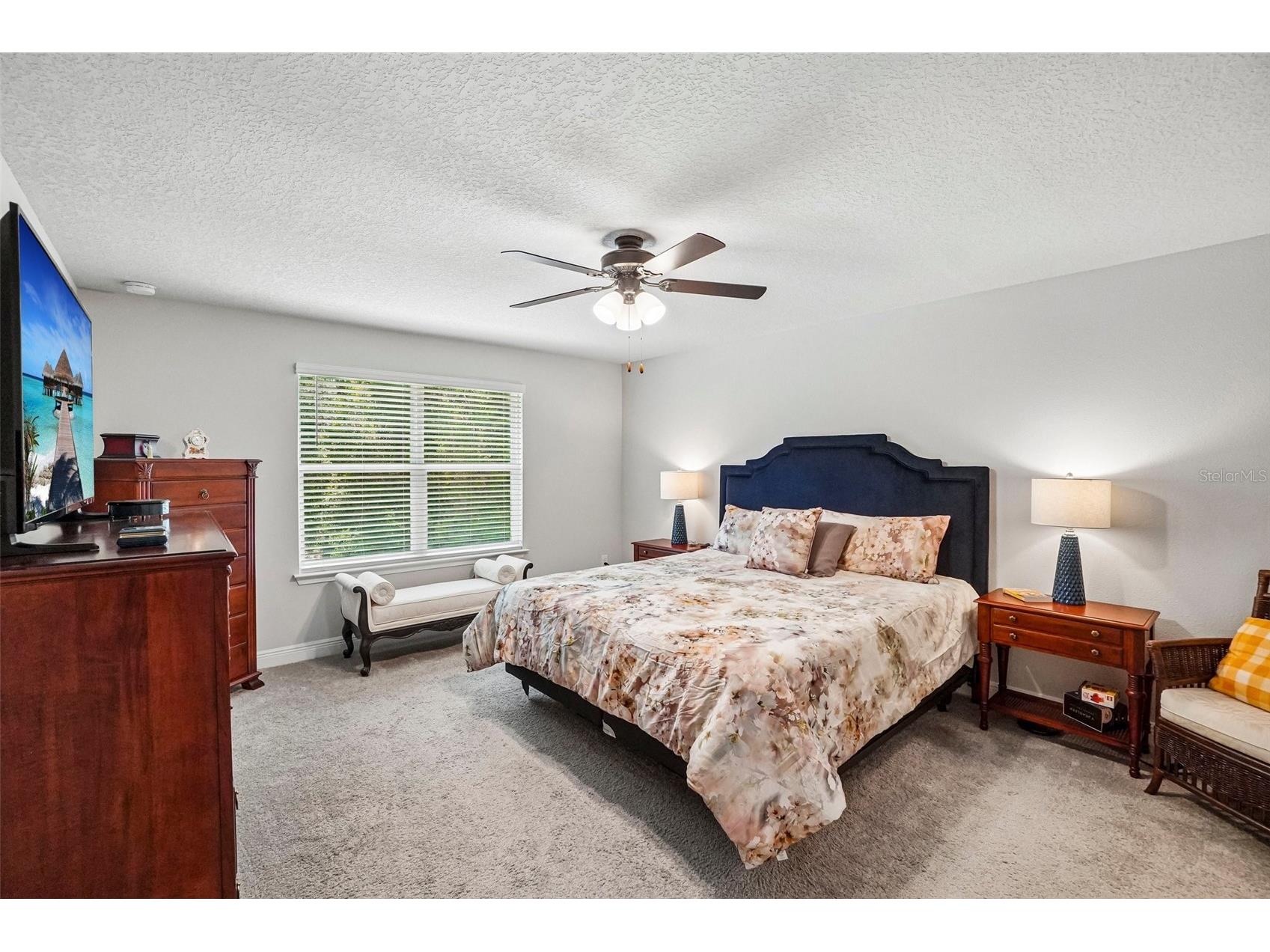 1005 Night Song Street Valrico FL 33594 TB8508413 image38