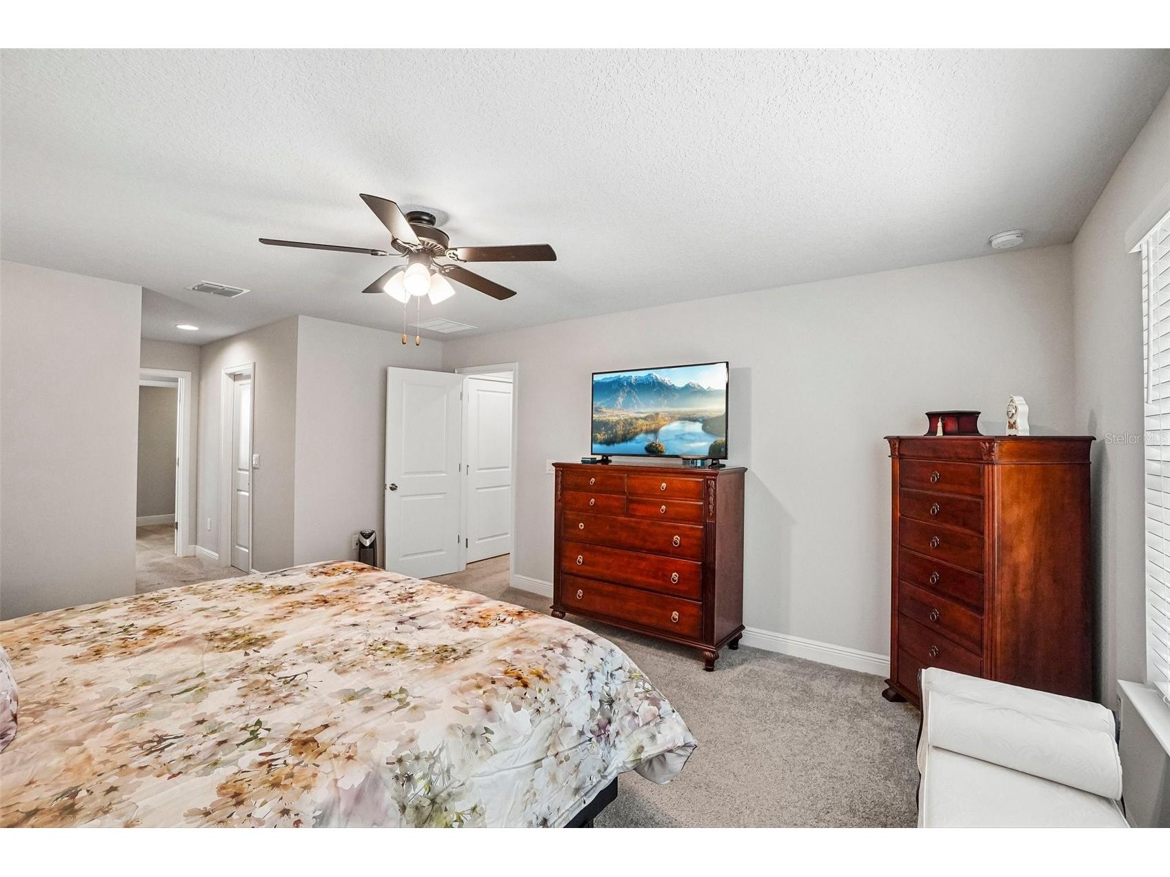 1005 Night Song Street Valrico FL 33594 TB8508413 image40