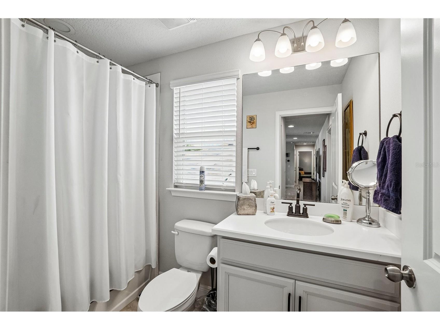 1005 Night Song Street Valrico FL 33594 TB8508413 image41