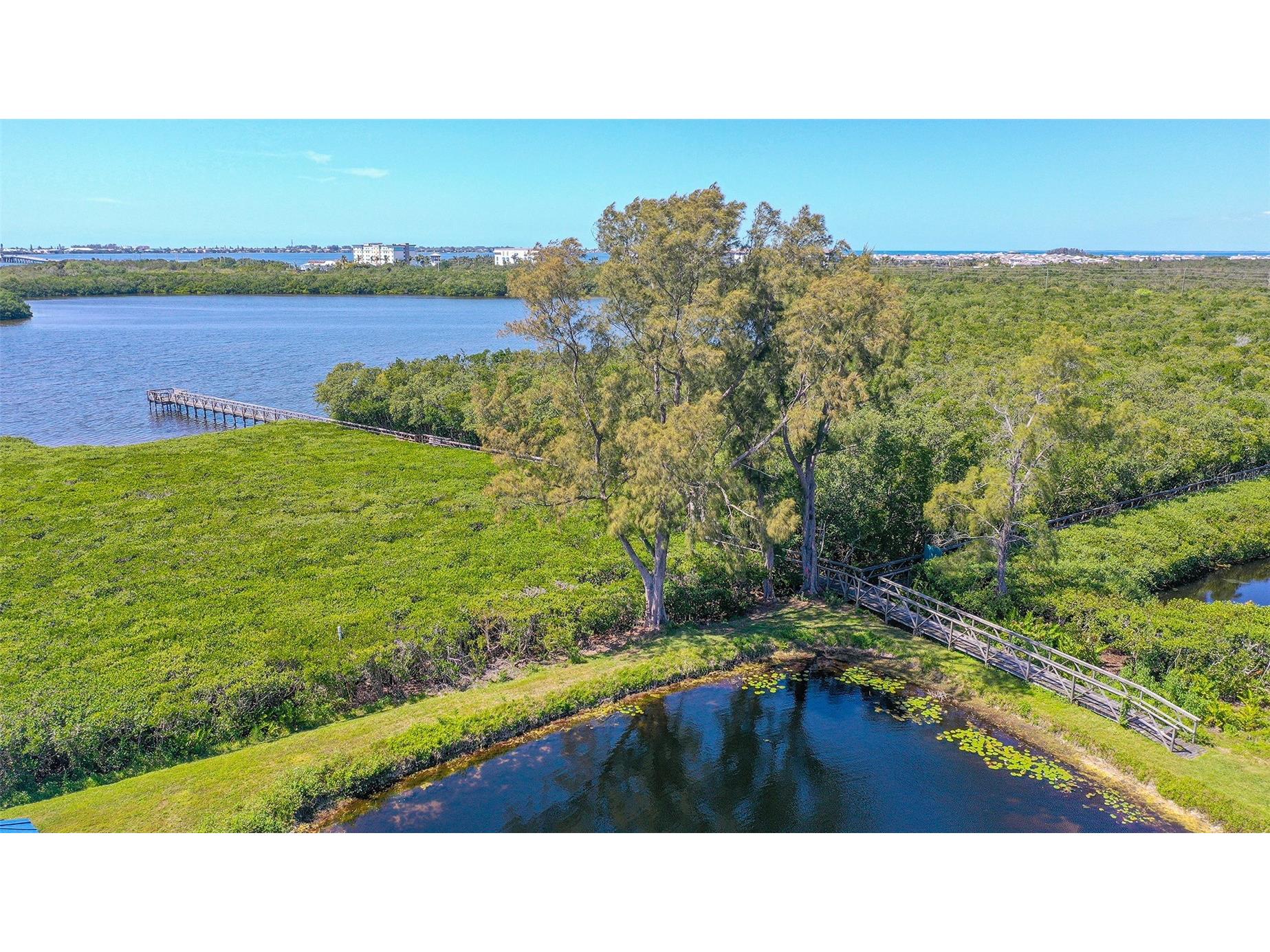 1005 Pelican Court Bradenton FL 34209 A4686053 image65