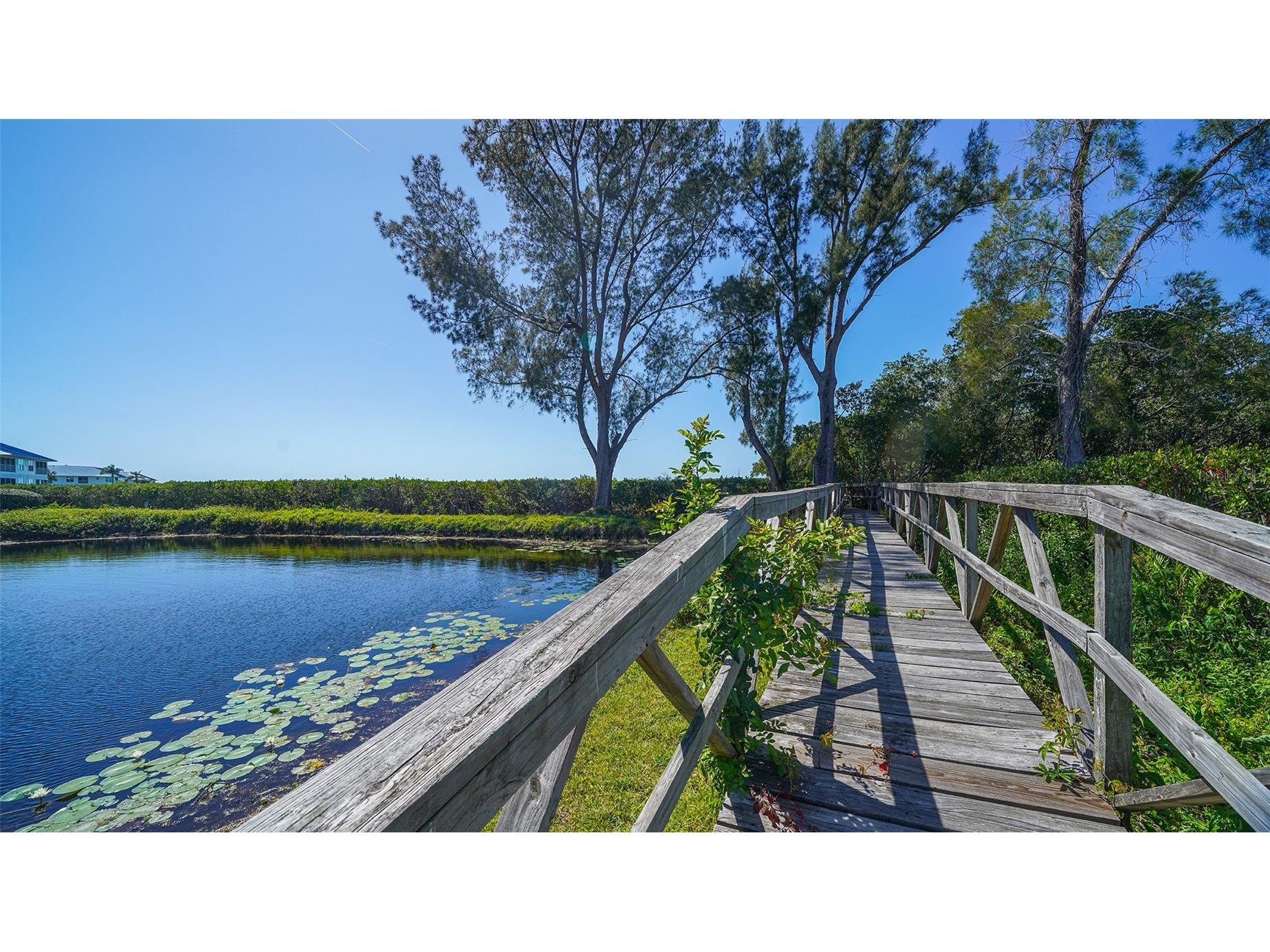 1005 Pelican Court Bradenton FL 34209 A4686053 image67