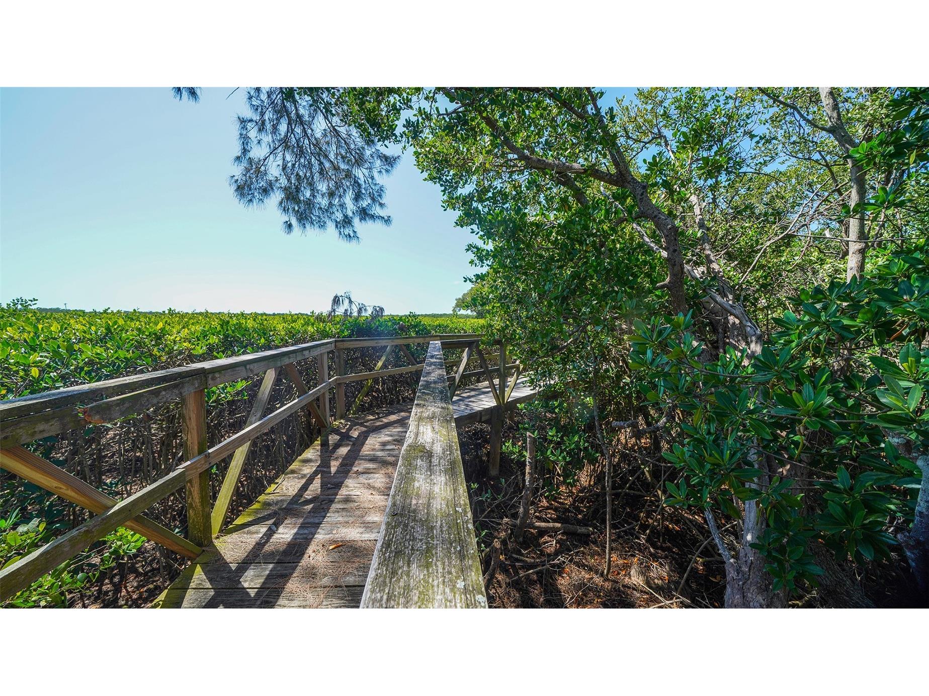 1005 Pelican Court Bradenton FL 34209 A4686053 image68