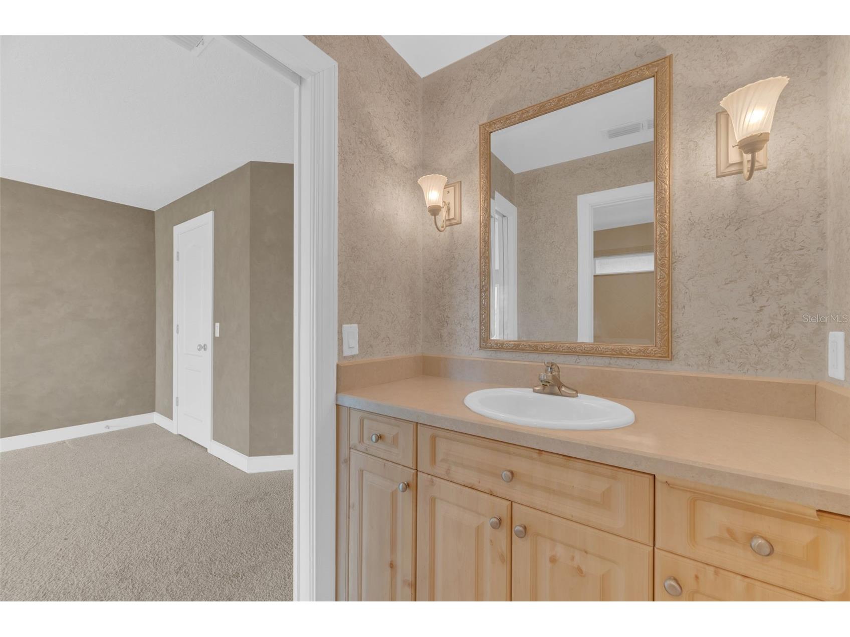 1005 Piano Lane Apollo Beach FL 33572 TB8515942 image48