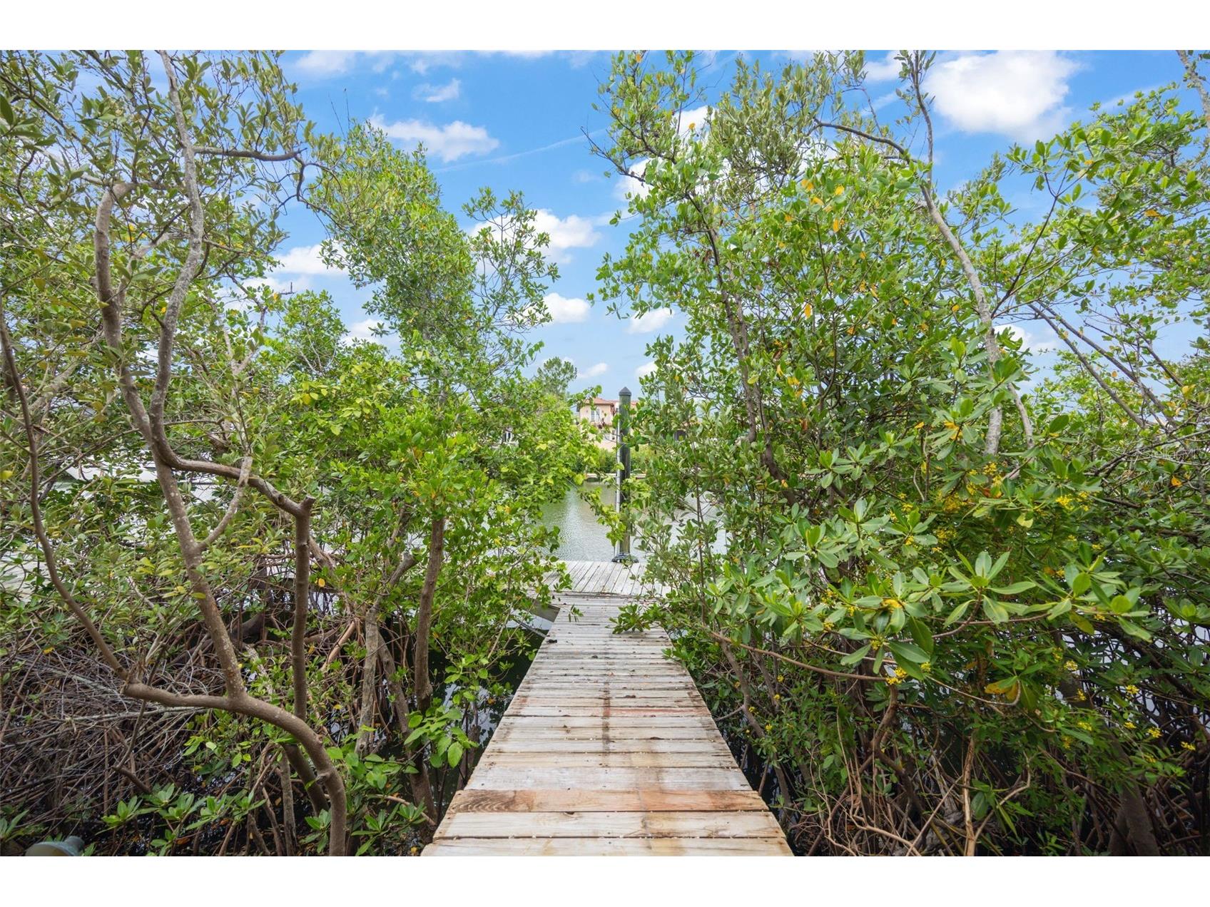 1005 Piano Lane Apollo Beach FL 33572 TB8515942 image51