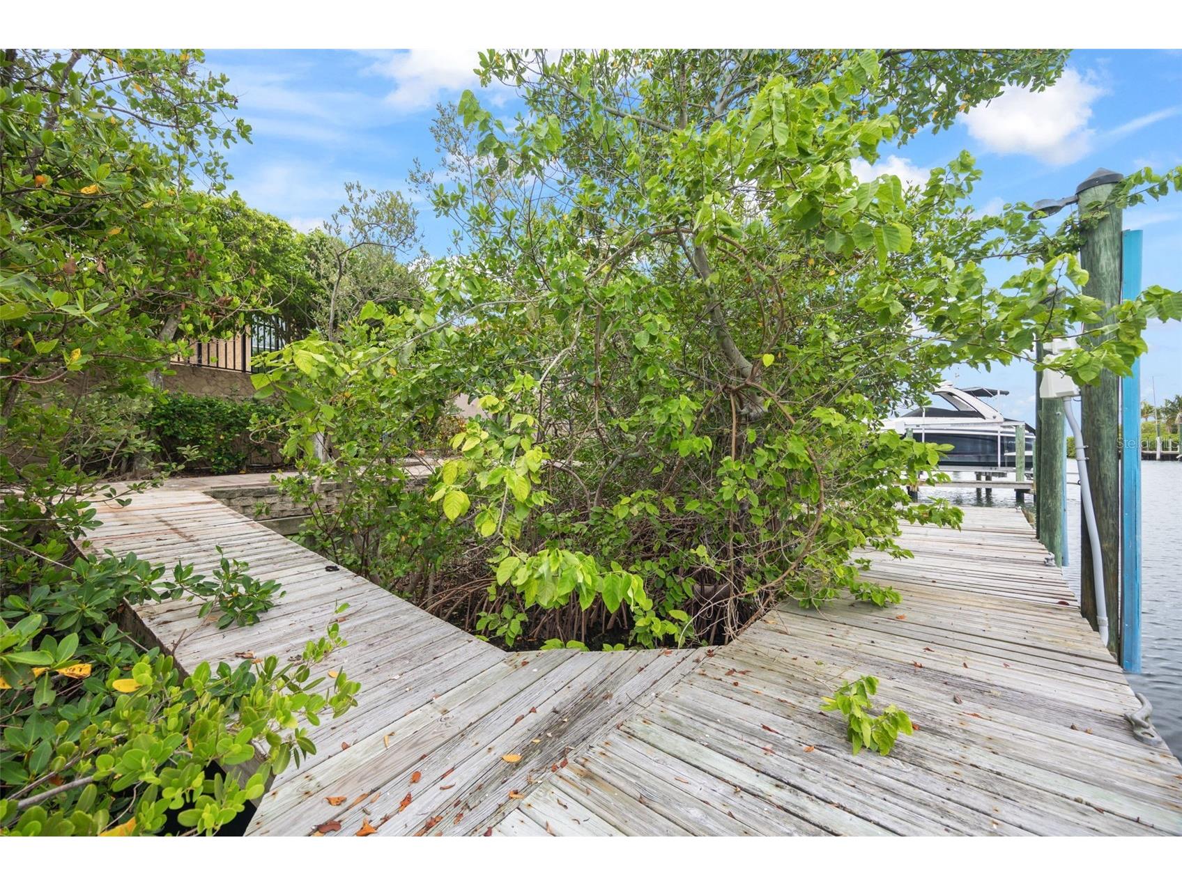 1005 Piano Lane Apollo Beach FL 33572 TB8515942 image53
