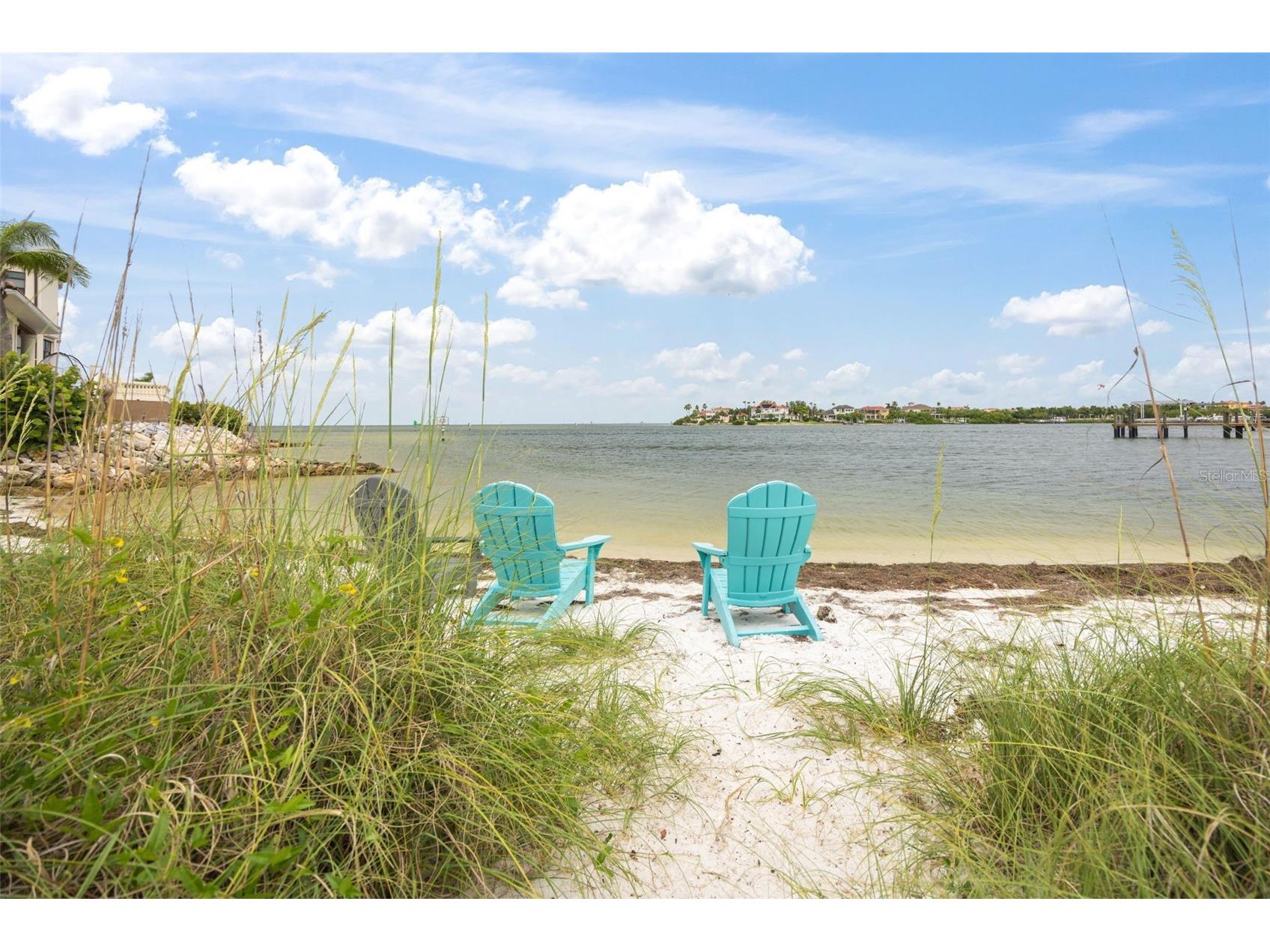 1005 Piano Lane Apollo Beach FL 33572 TB8515942 image67