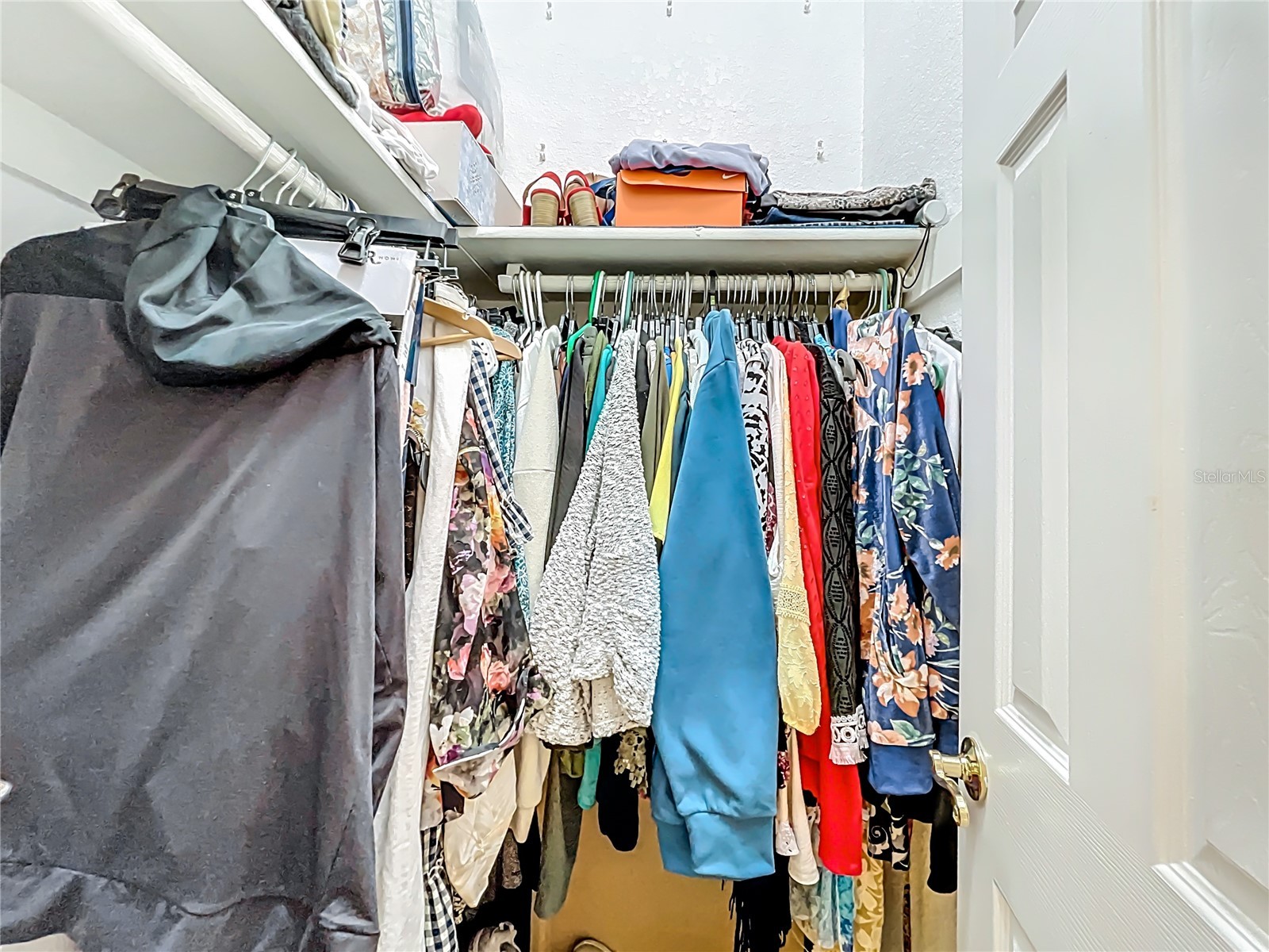 1005 Piedmont Oaks Drive Apopka FL 32703 S5143529 image14