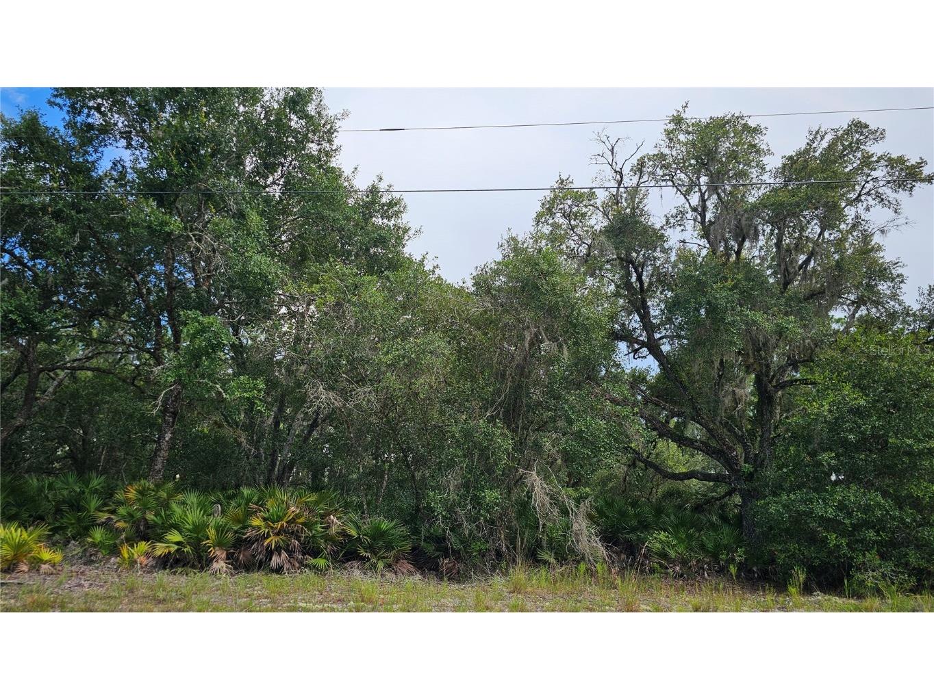 1005 Plumosa Drive Indian Lake Estates FL 33855 O6328269 image2