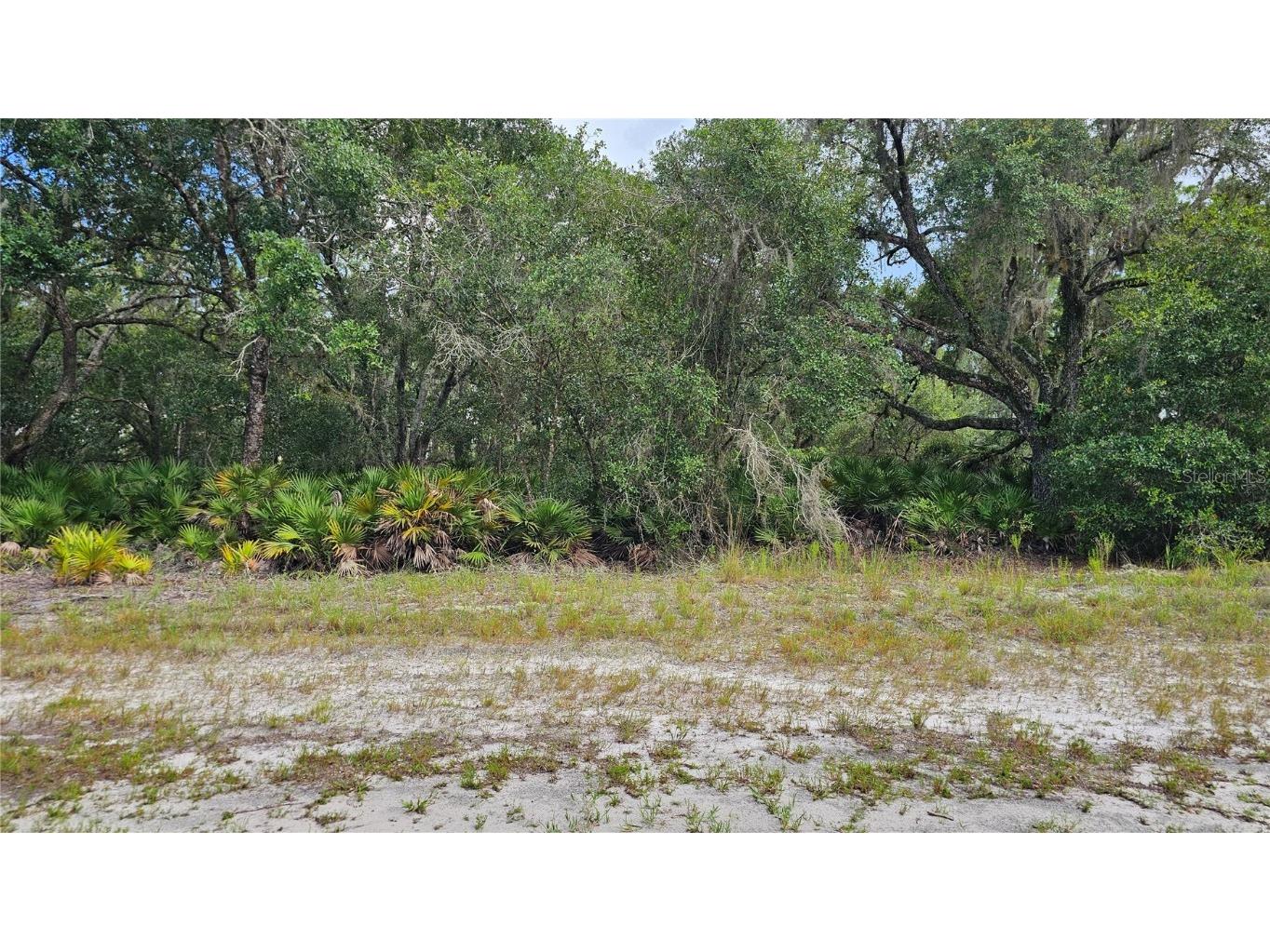 1005 Plumosa Drive Indian Lake Estates FL 33855 O6328269 image3