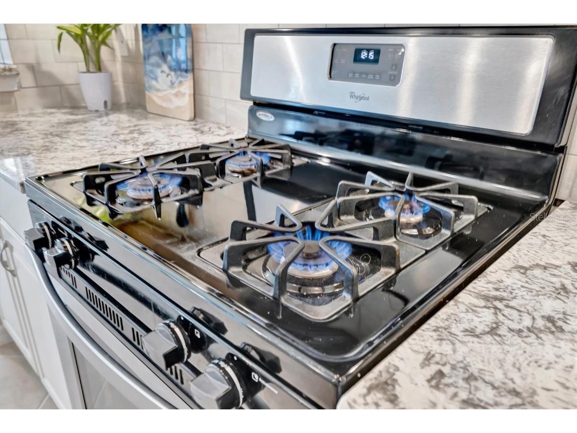 1005 Riverscape Street Bradenton FL 34208 - MANATEE RIVER A4675218 image45