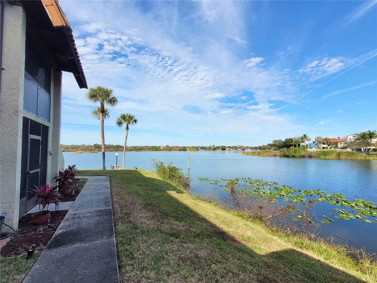 1005 S Bayshore Boulevard #102 Safety Harbor FL 34695 TB8467669 image23