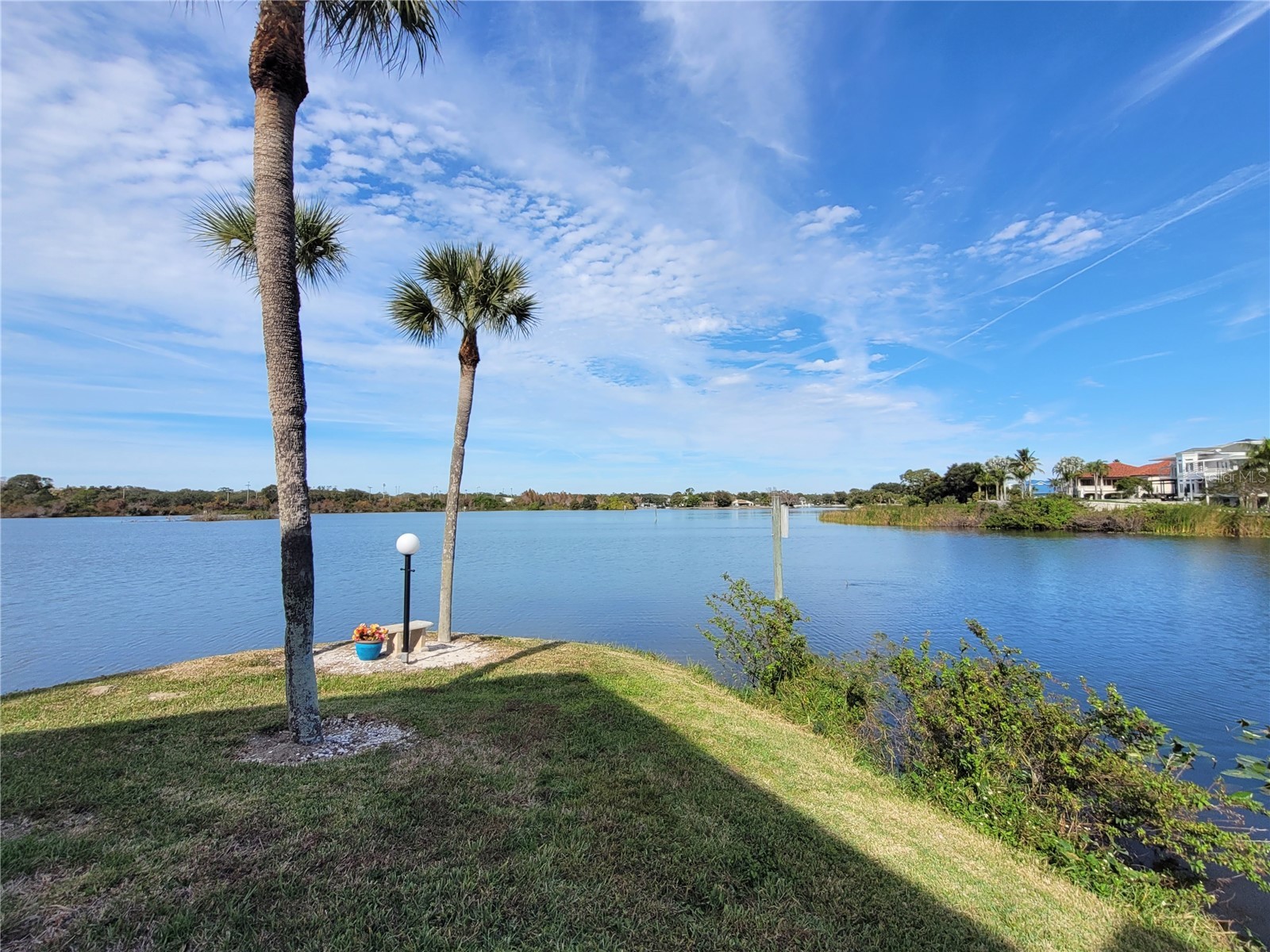 1005 S Bayshore Boulevard #102 Safety Harbor FL 34695 TB8467669 image24