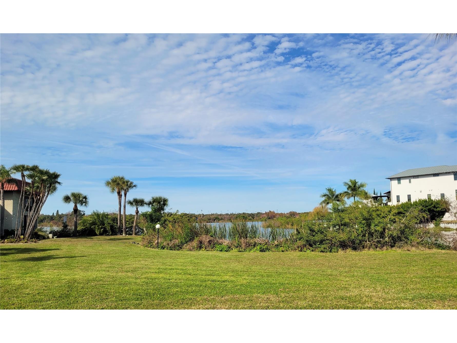 1005 S Bayshore Boulevard #102 Safety Harbor FL 34695 TB8467669 image25