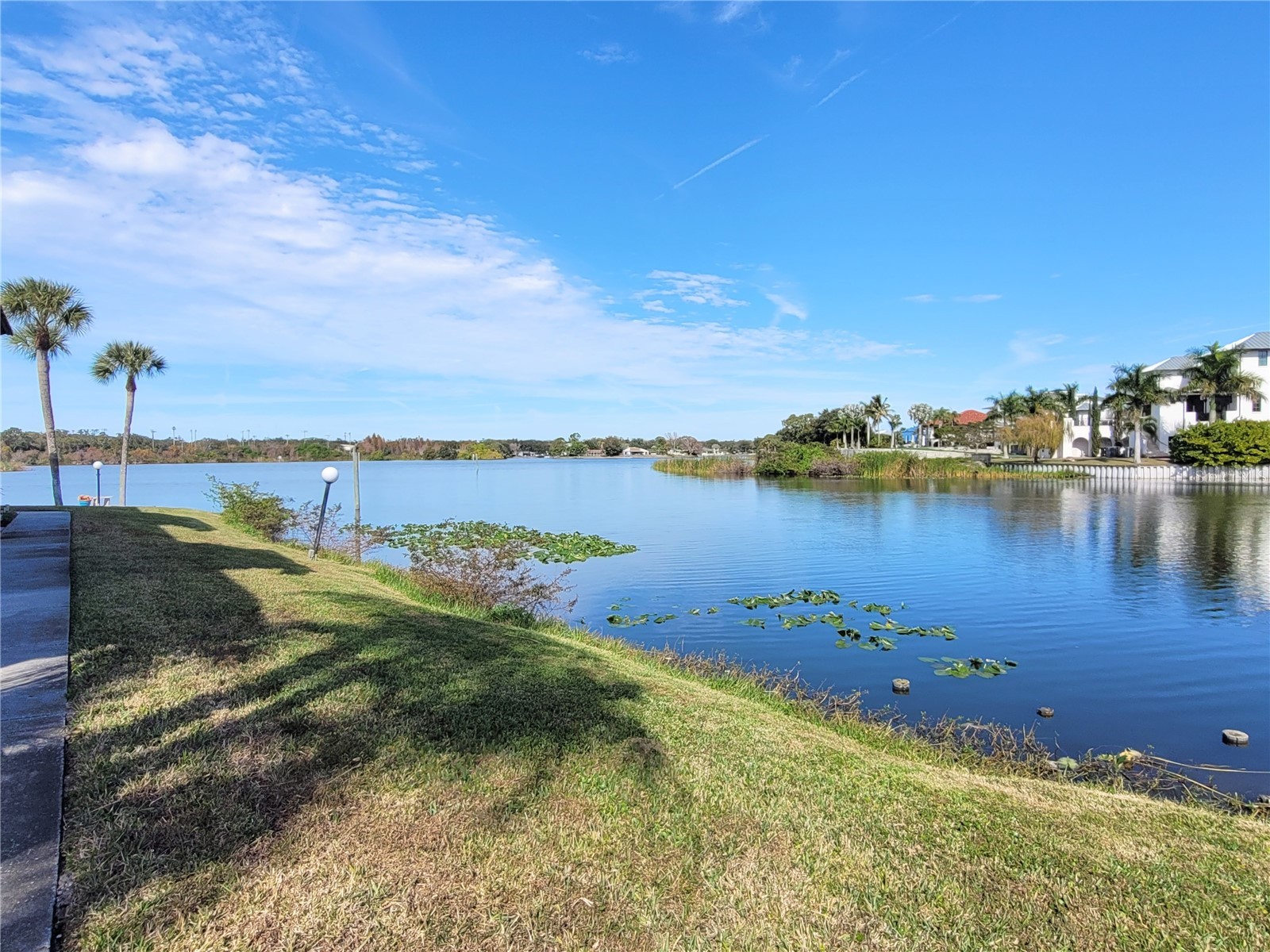 1005 S Bayshore Boulevard #102 Safety Harbor FL 34695 TB8467669 image31