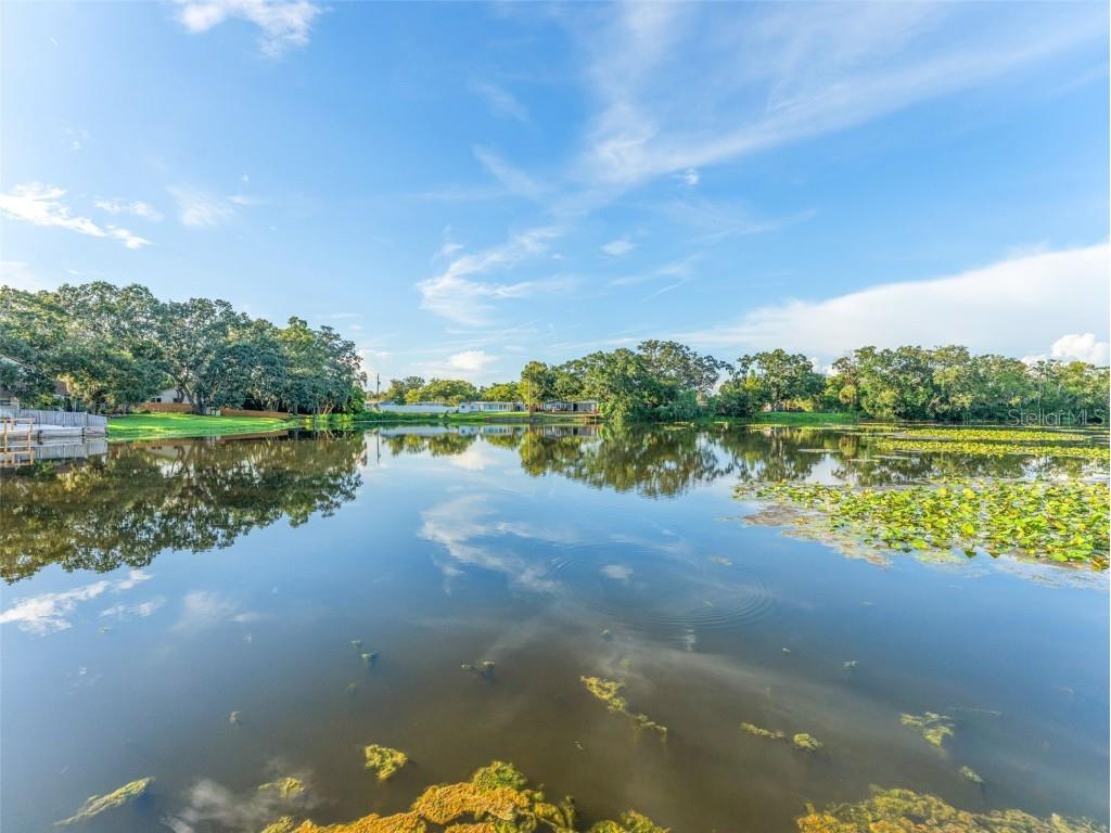 1005 Samy Drive Tampa FL 33613 TB8420761 image11