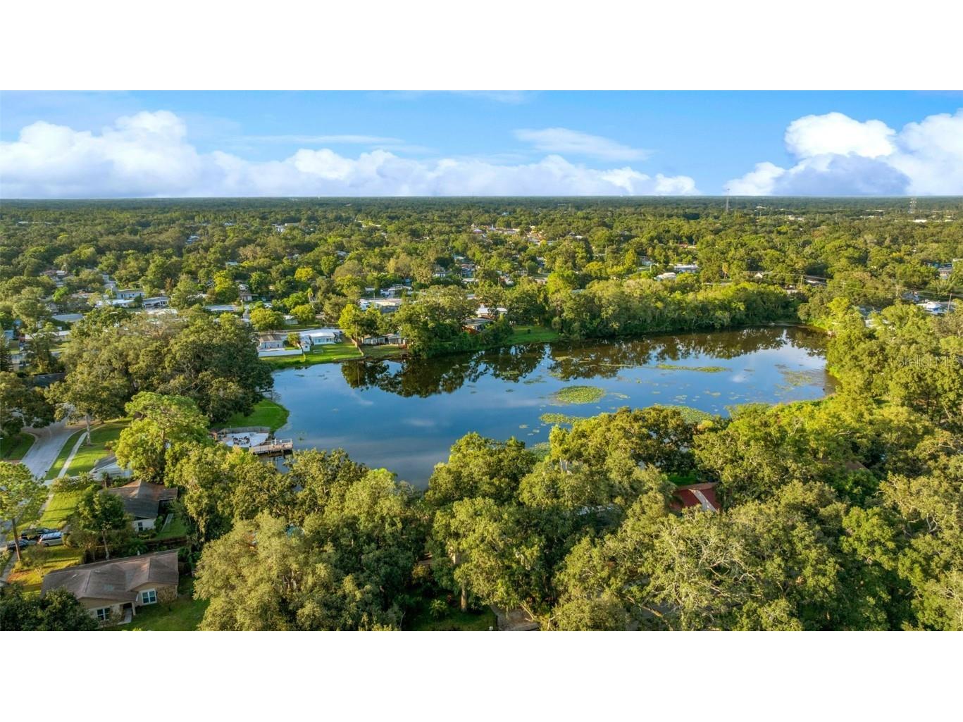 1005 Samy Drive Tampa FL 33613 TB8420761 image44