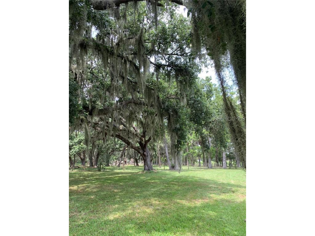 1005 SE 14th Court Okeechobee FL 34974 OK224080 image1