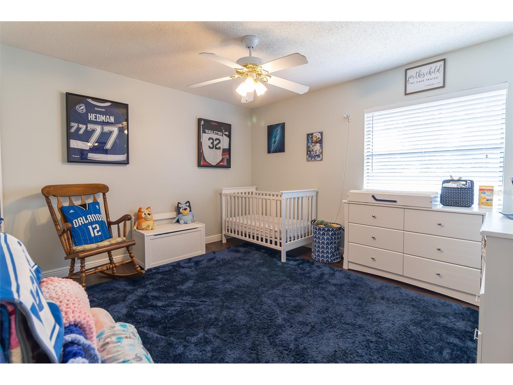1005 Tranquiview Lane Valrico FL 33594 TB8523532 image32