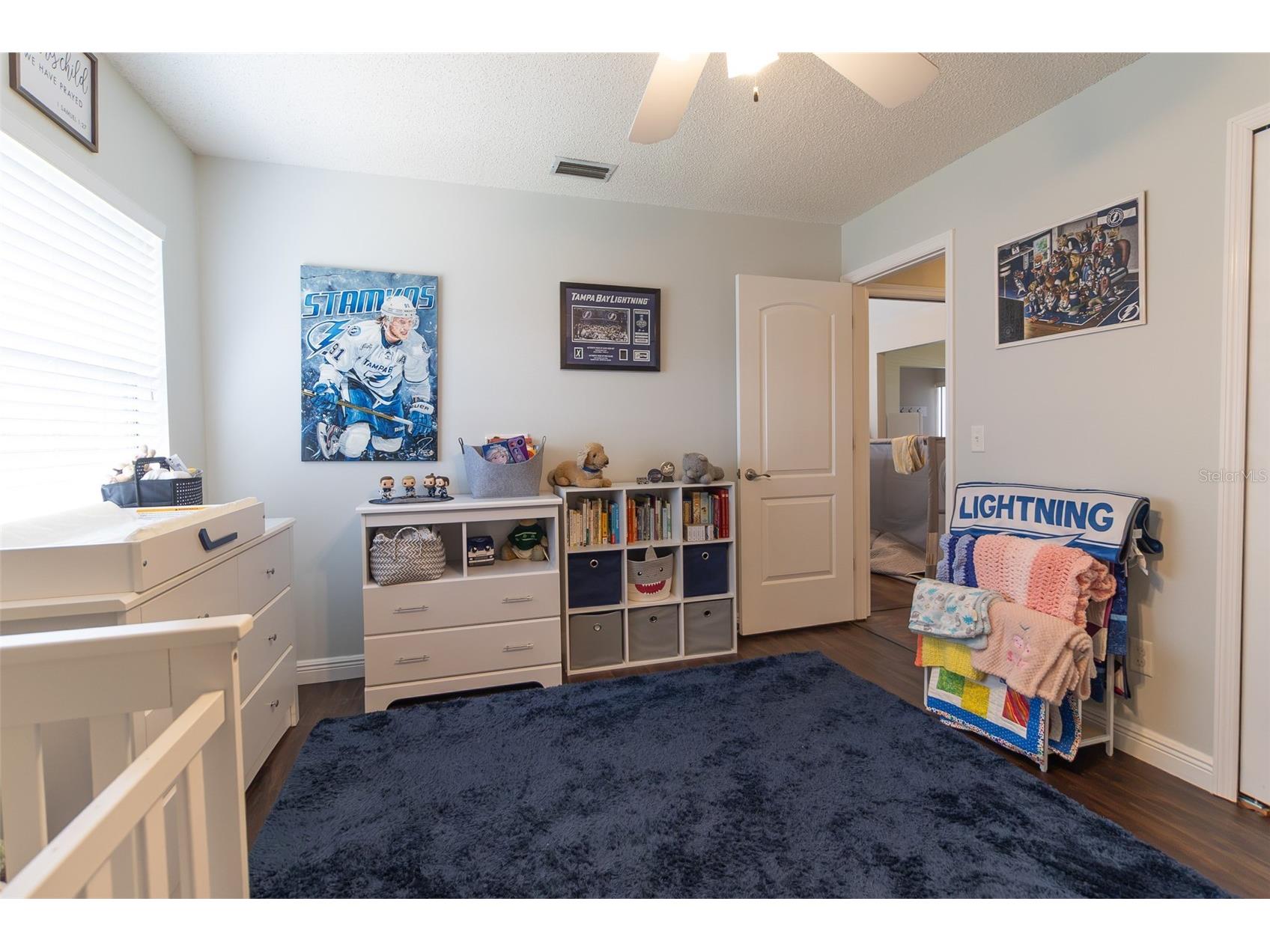 1005 Tranquiview Lane Valrico FL 33594 TB8523532 image33