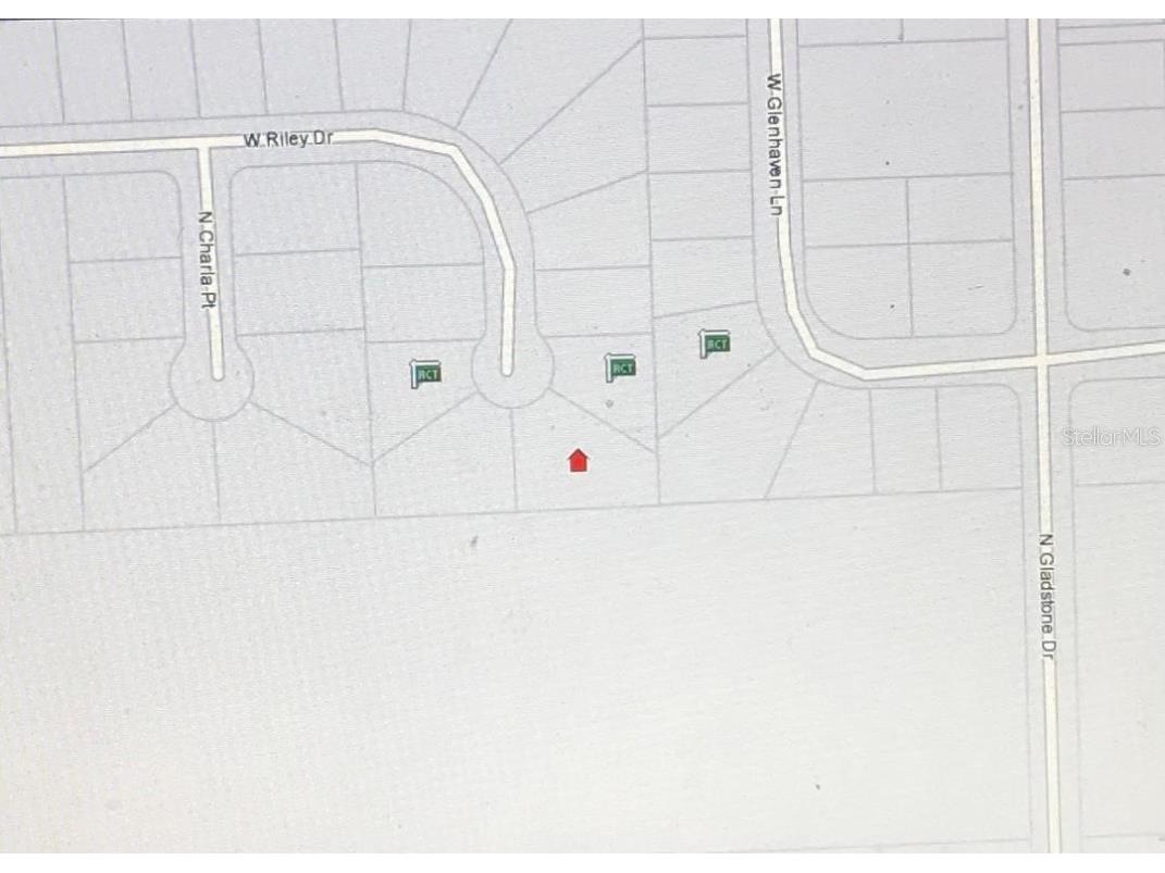 1005 W Riley Drive Citrus Springs FL 34434 T3486473 image1