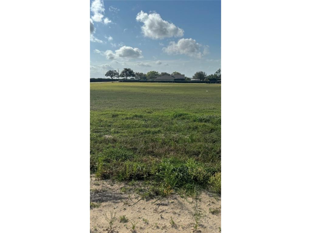 10005 White Egret Drive Thonotosassa FL 33592 O6177722 image1