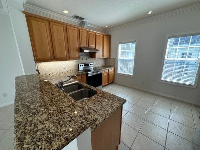 1005 Wiregrass Street Celebration FL 34747 S5145392 image7