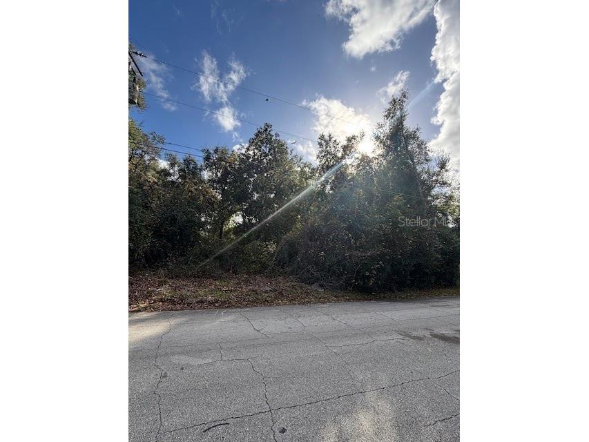 1005 Yale Lane Inverness FL 34452 J983866 image1