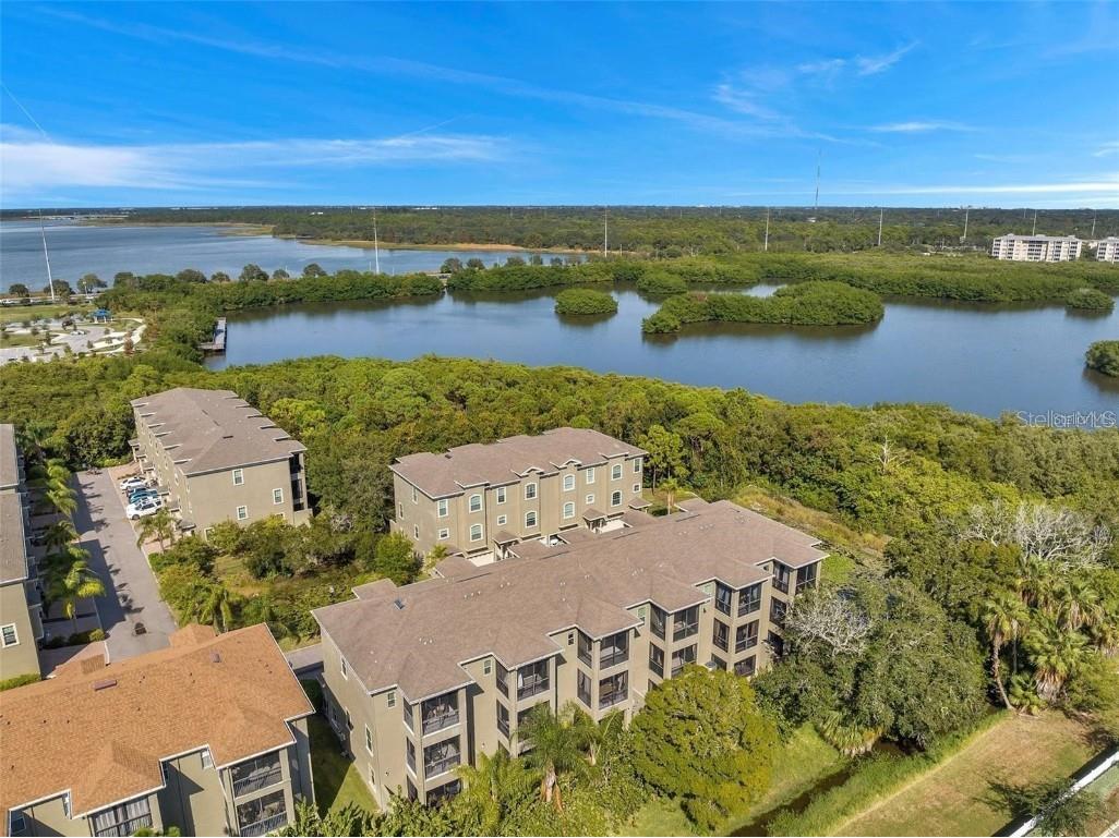 10050 Bayou Grande Avenue Seminole FL 33772 TB8452347 image14