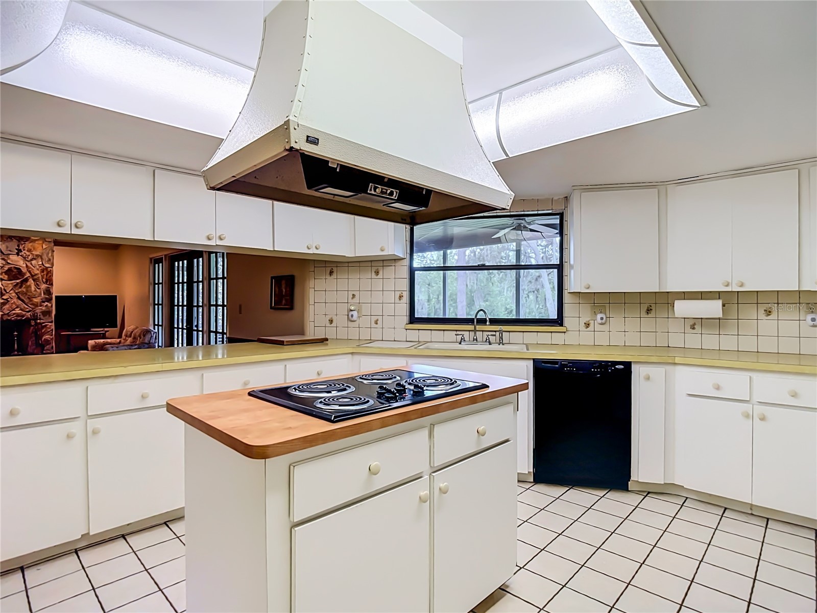 10050 Deer Lane New Port Richey FL 34654 W7887387 image16