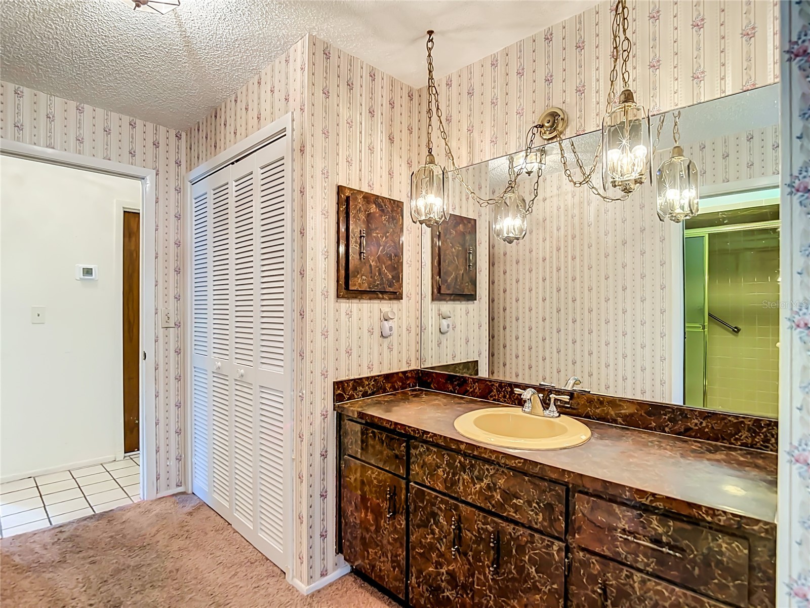 10050 Deer Lane New Port Richey FL 34654 W7887387 image18