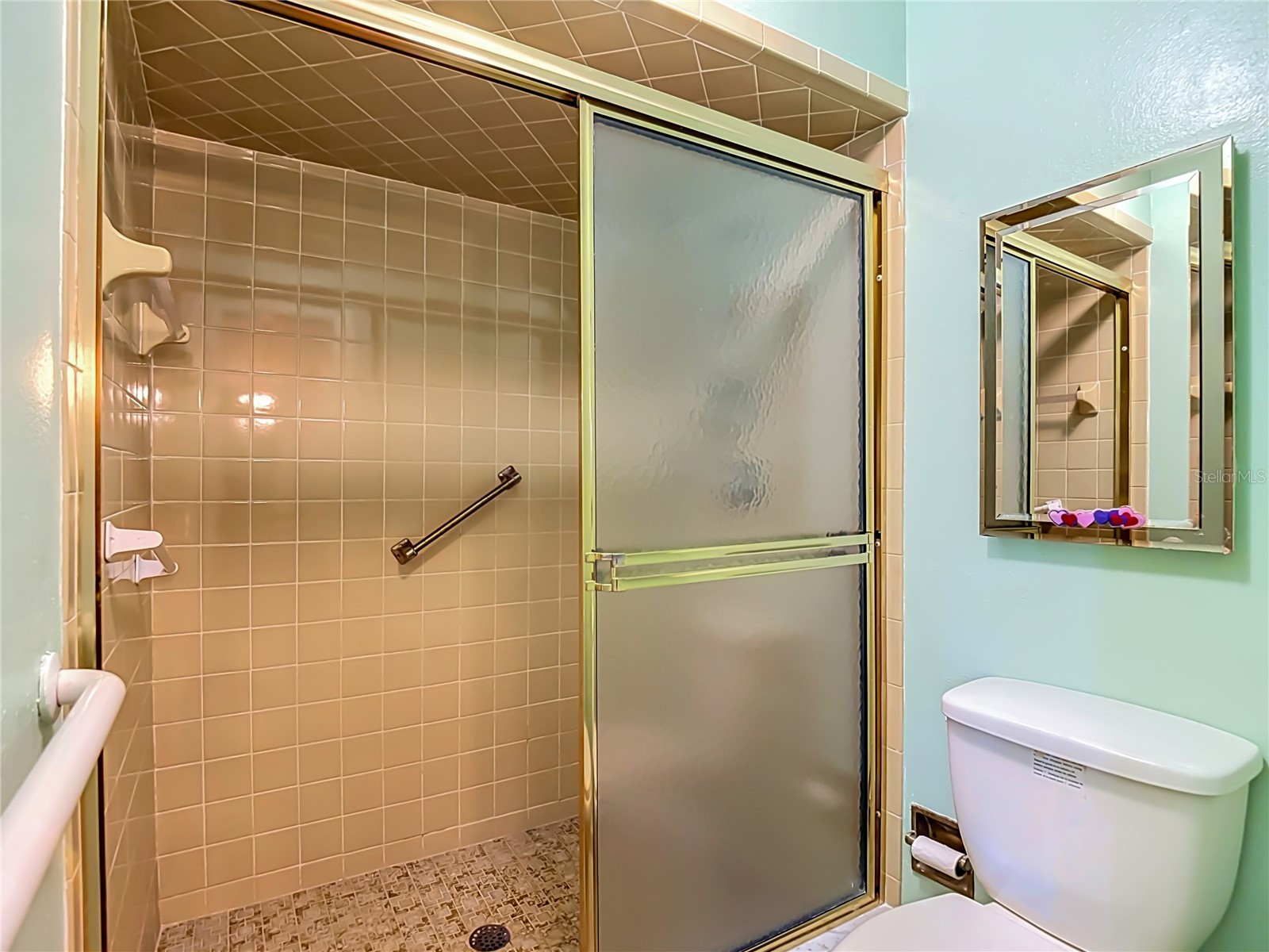 10050 Deer Lane New Port Richey FL 34654 W7887387 image19