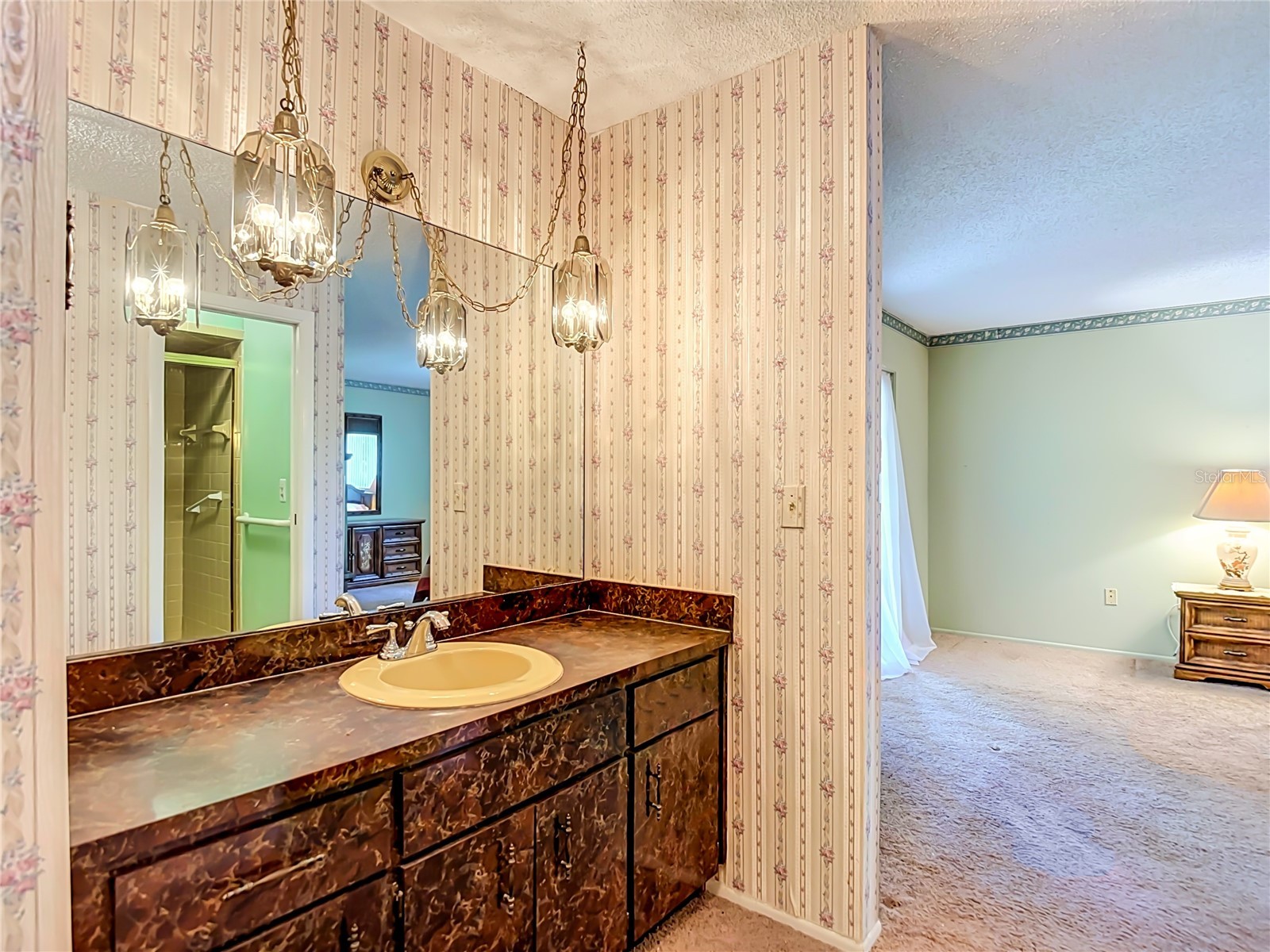10050 Deer Lane New Port Richey FL 34654 W7887387 image20