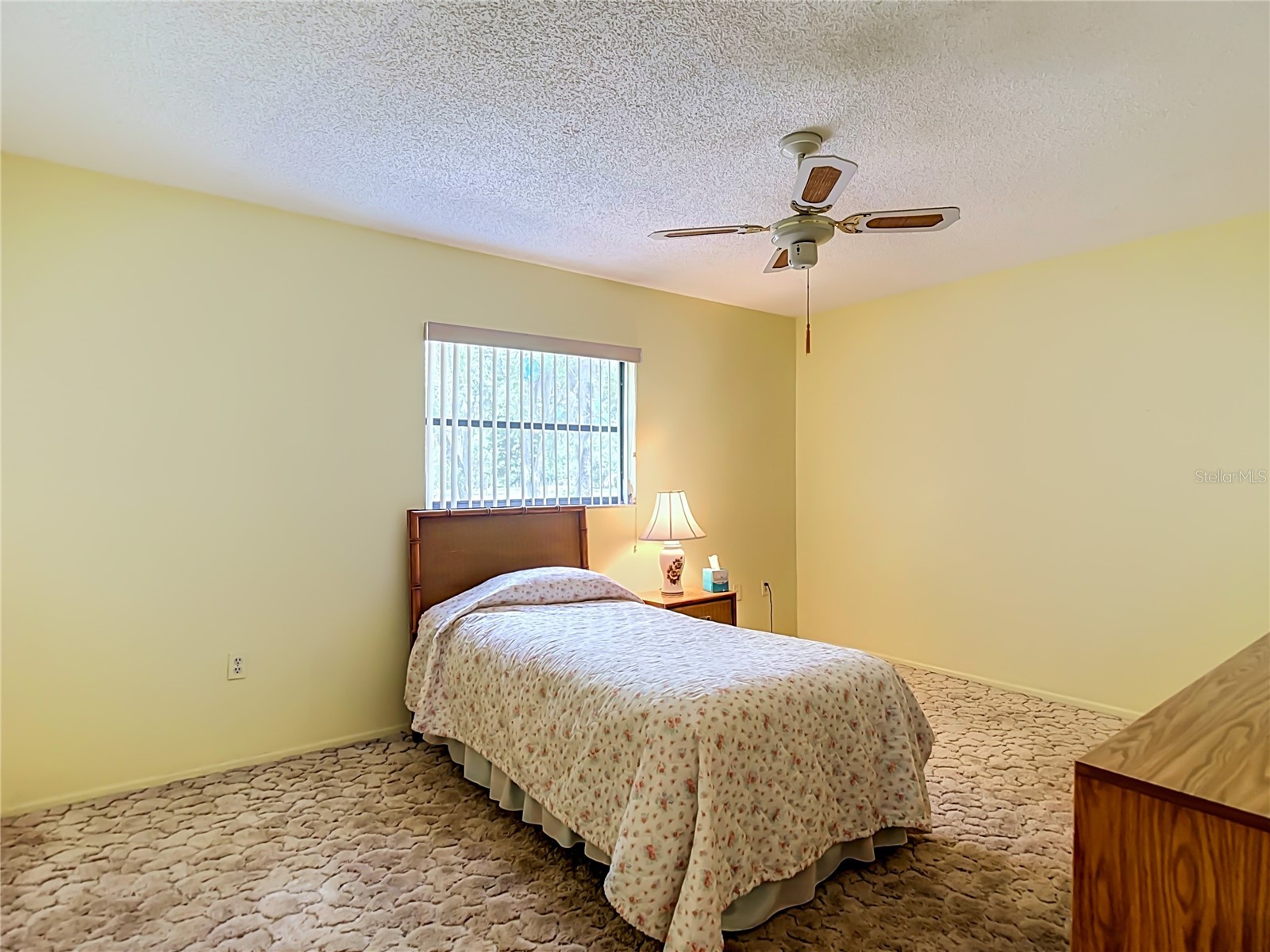 10050 Deer Lane New Port Richey FL 34654 W7887387 image22