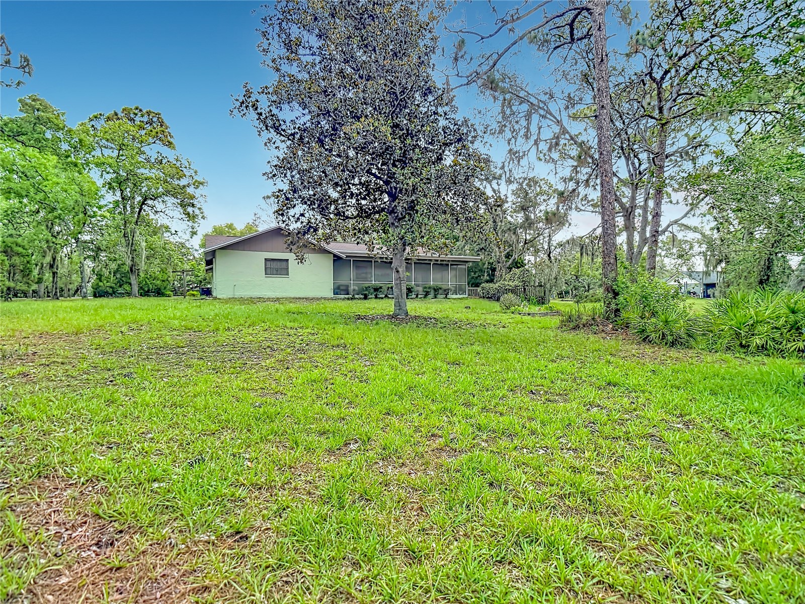 10050 Deer Lane New Port Richey FL 34654 W7887387 image29