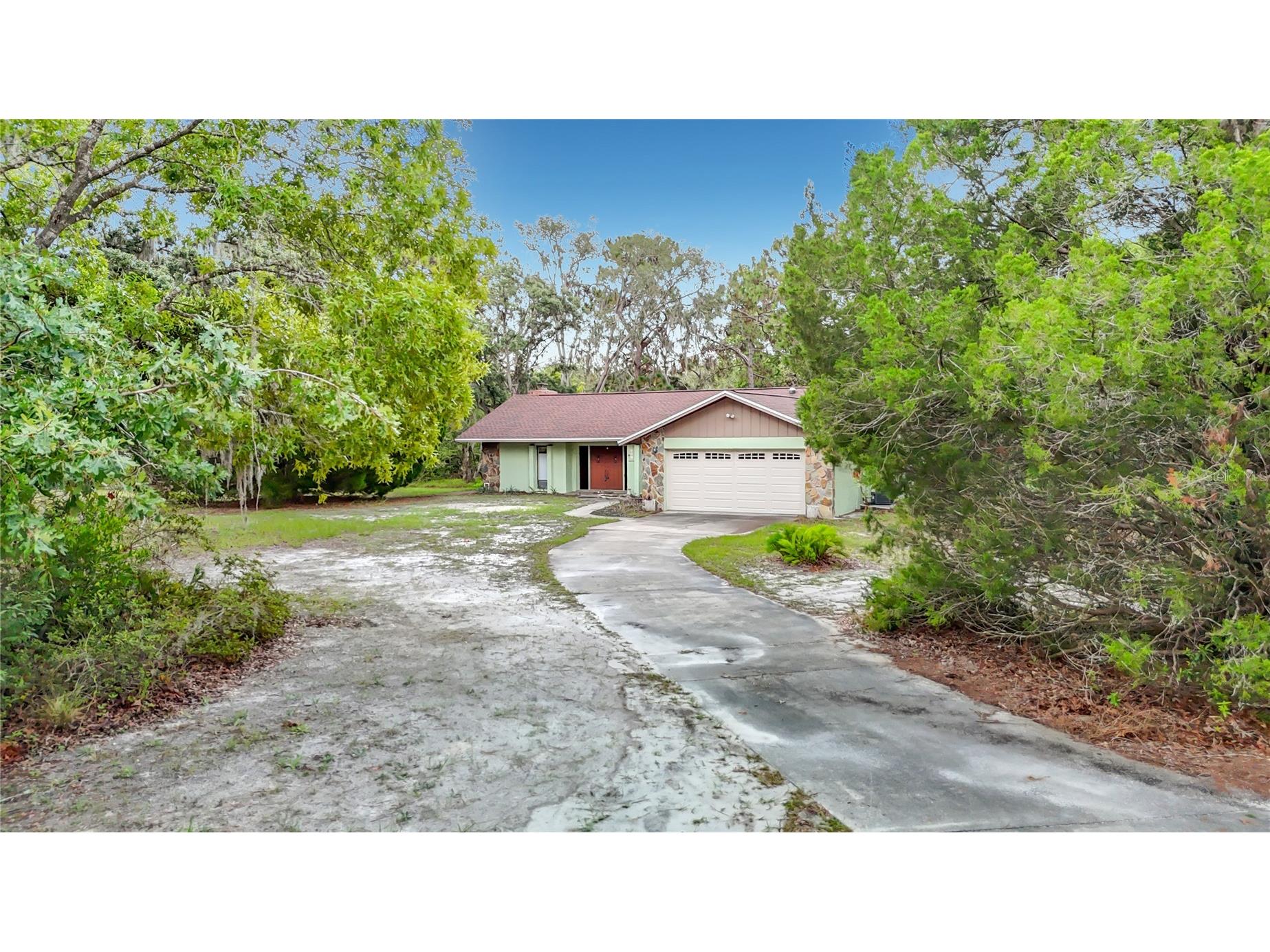 10050 Deer Lane New Port Richey FL 34654 W7887387 image4