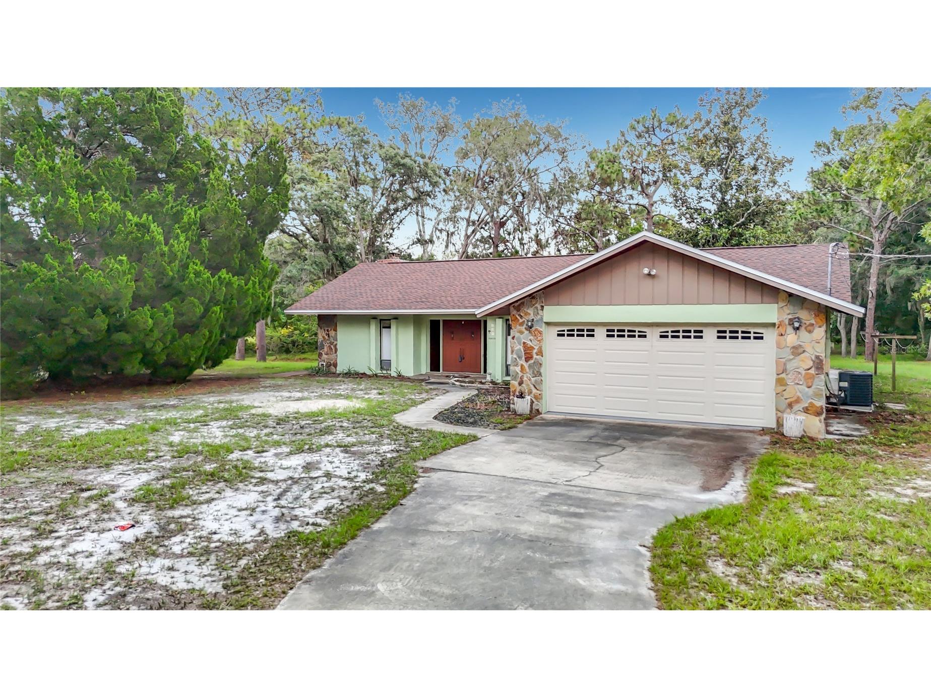 10050 Deer Lane New Port Richey FL 34654 W7887387 image5