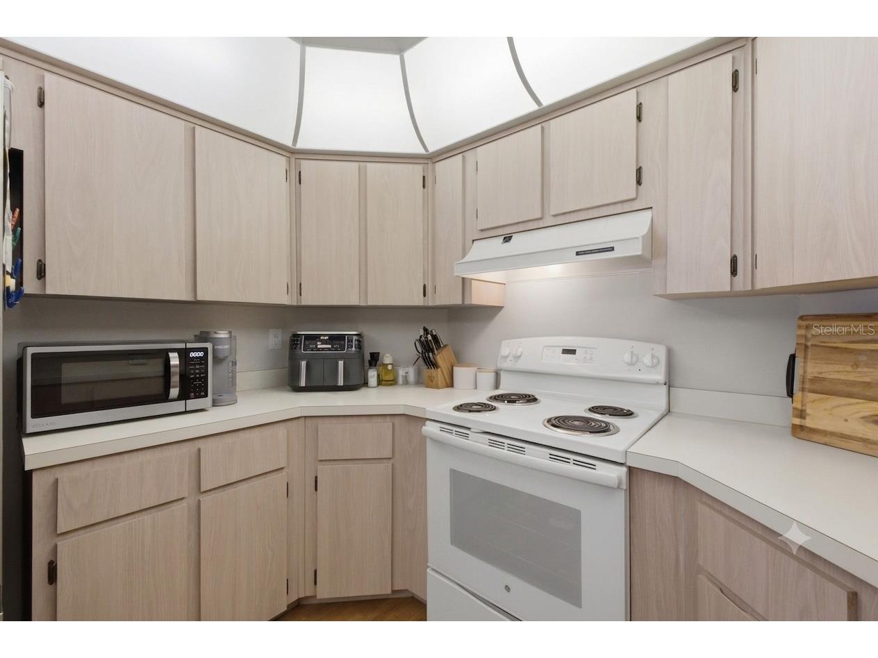 10050 Hermosillo Drive New Port Richey FL 34655 W7886907 image29