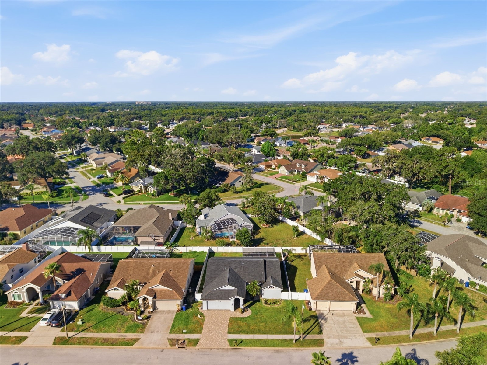 10050 Hermosillo Drive New Port Richey FL 34655 W7886907 image3