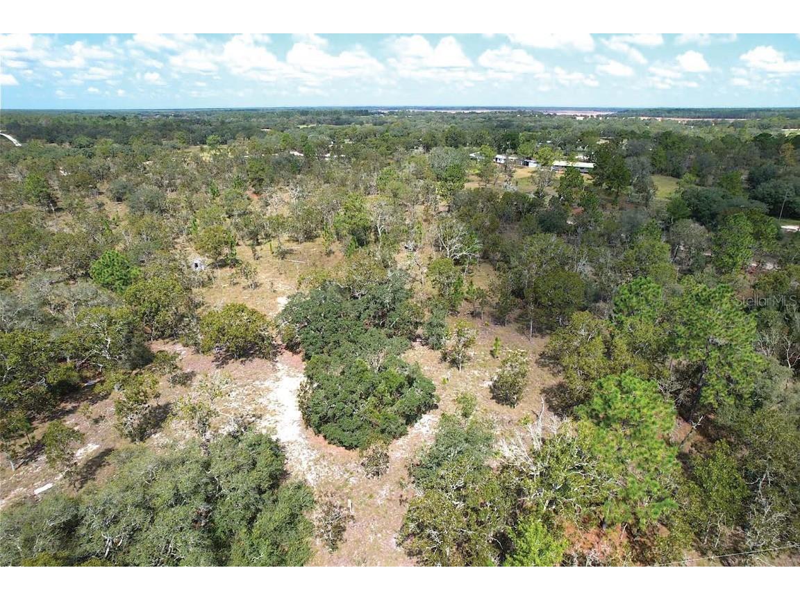 10050 SE 136th Terrace Dunnellon FL 34431 OM709543 image10