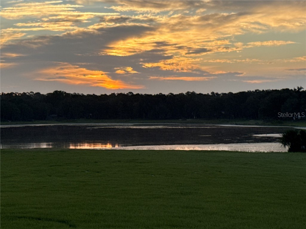 10050 SE 136th Terrace Dunnellon FL 34431 OM709543 image2