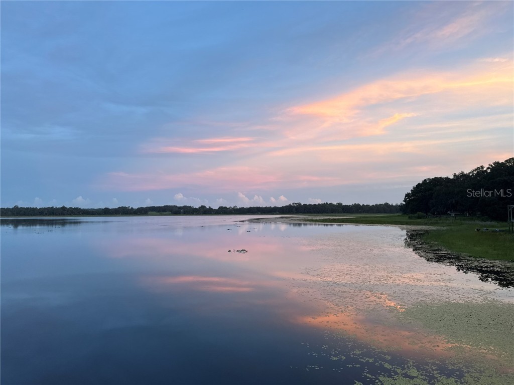 10050 SE 136th Terrace Dunnellon FL 34431 OM709543 image5