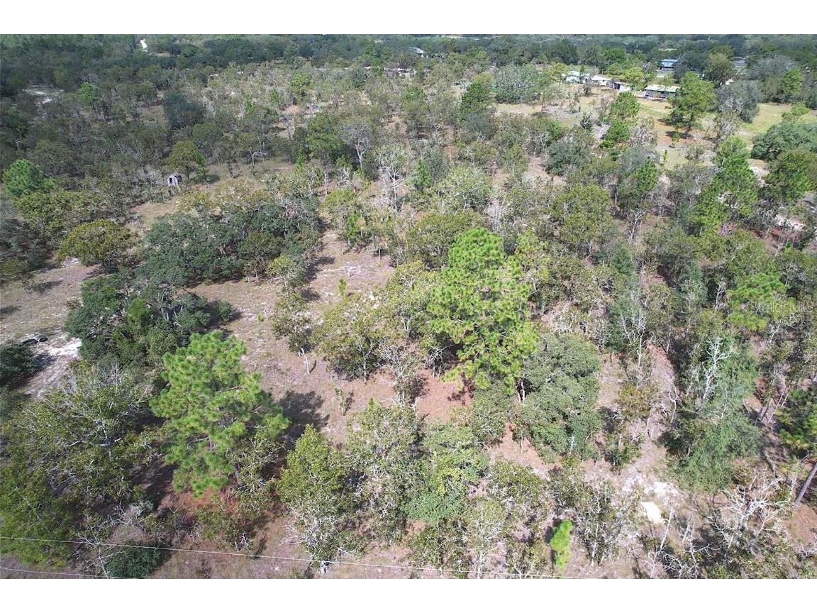 10050 SE 136th Terrace Dunnellon FL 34431 OM709543 image9