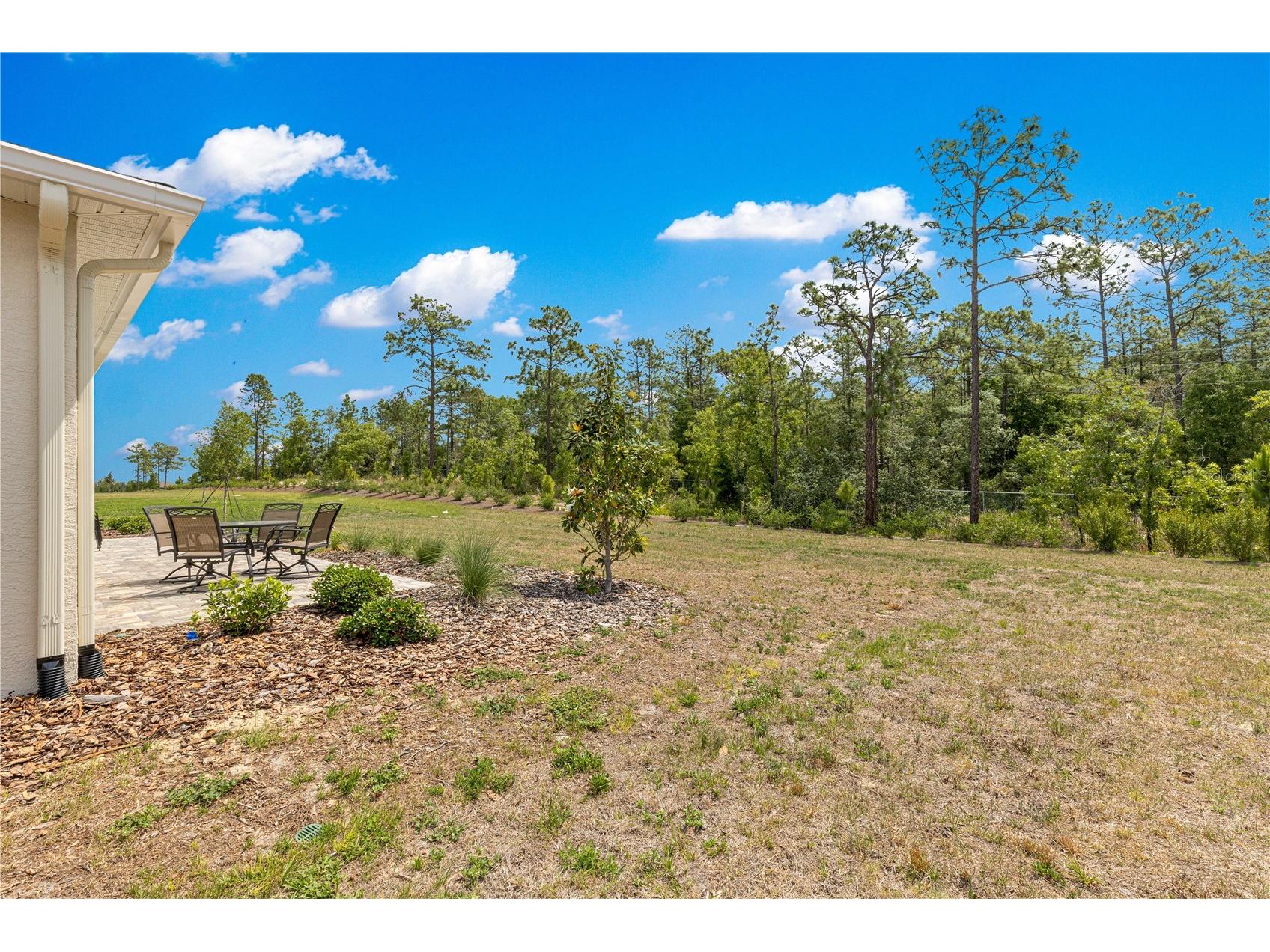 10050 SW 106th Circle Ocala FL 34481 OM725013 image54