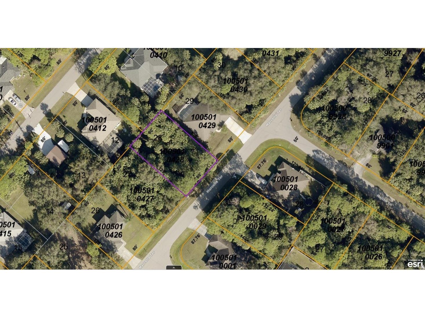 1005010428 Marcella Terrace North Port FL 34286 A4665059 image1