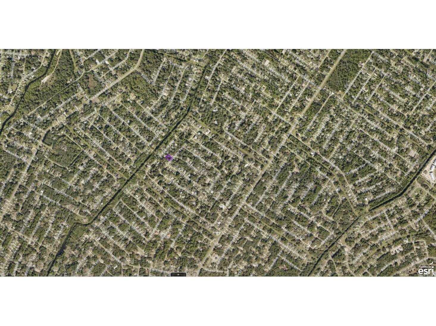 1005010428 Marcella Terrace North Port FL 34286 A4665059 image3